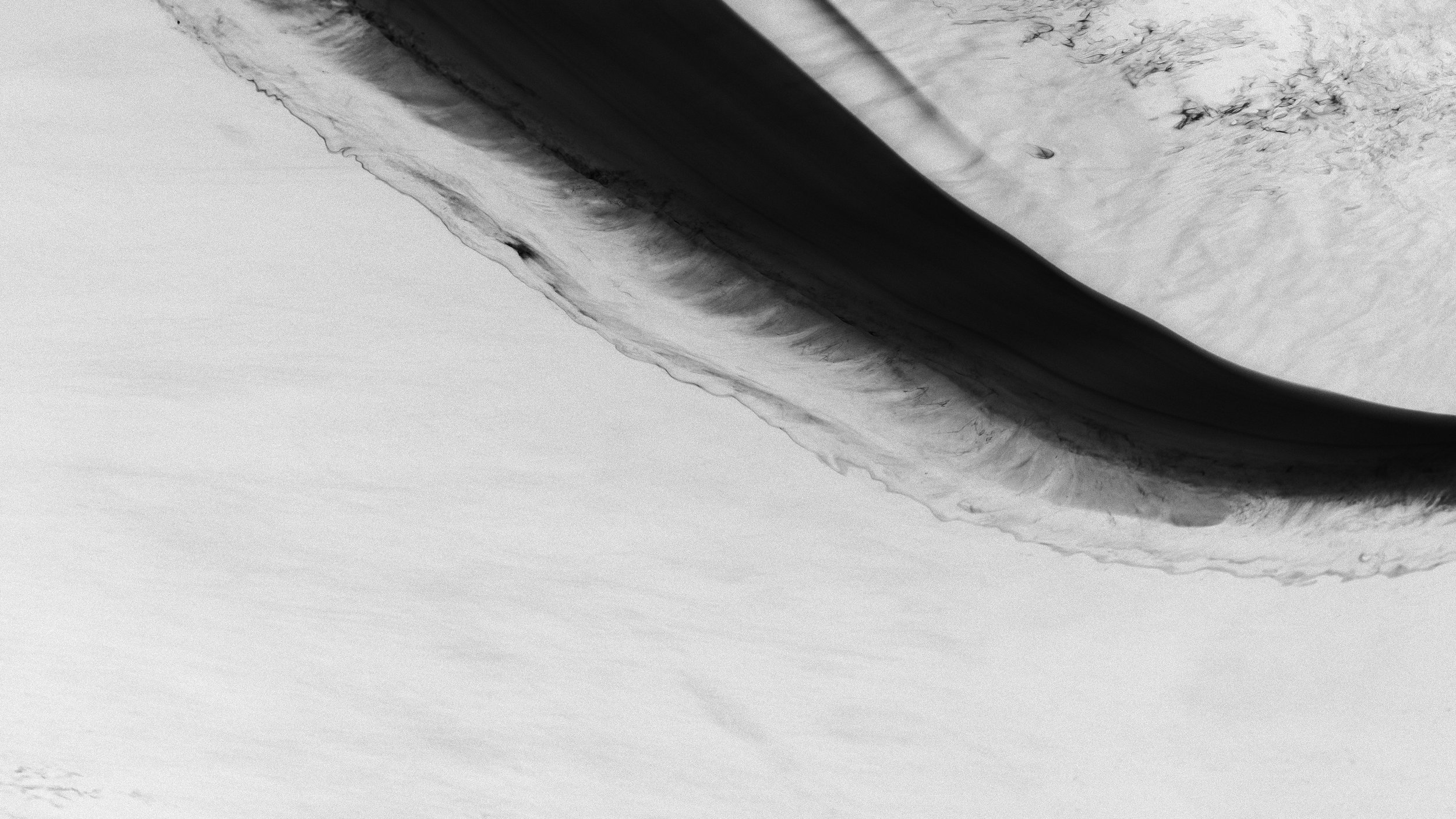 _DSF0136.1.jpg