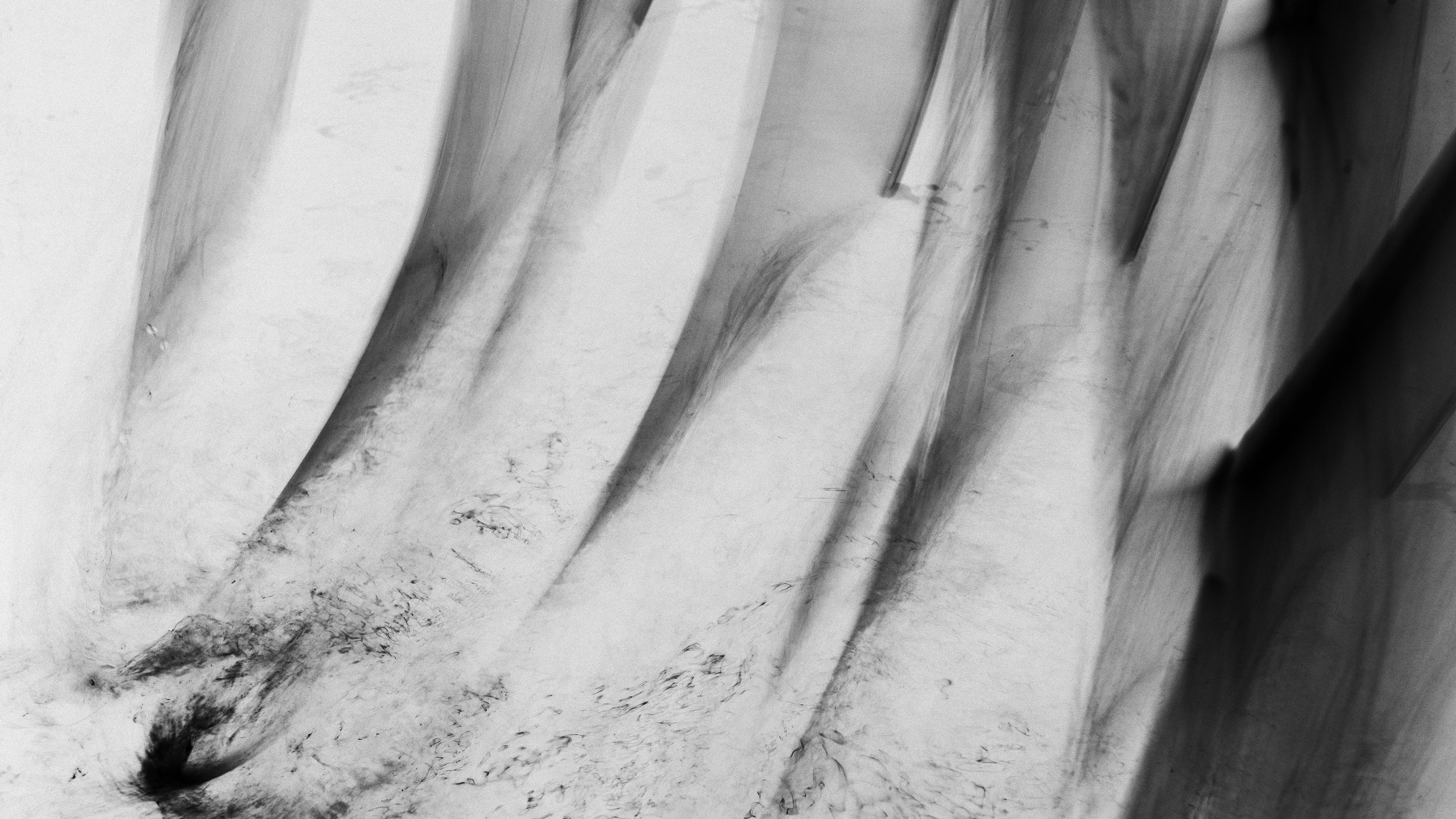 _DSF0143.1.jpg