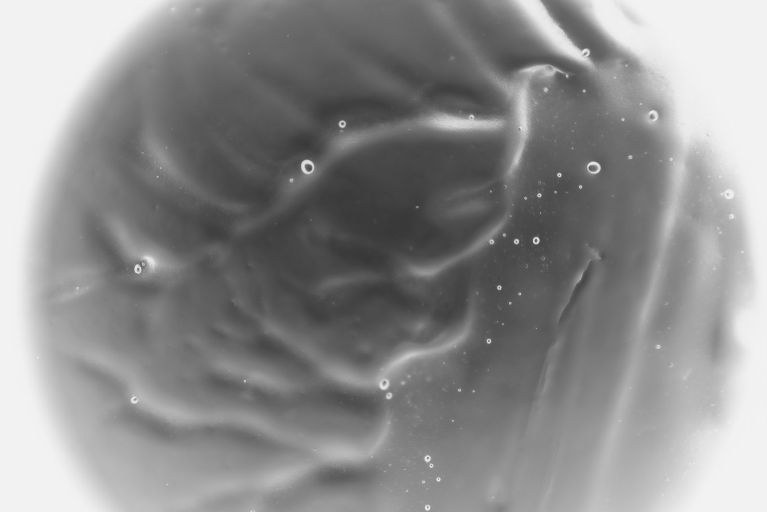 931A8492_10.jpg