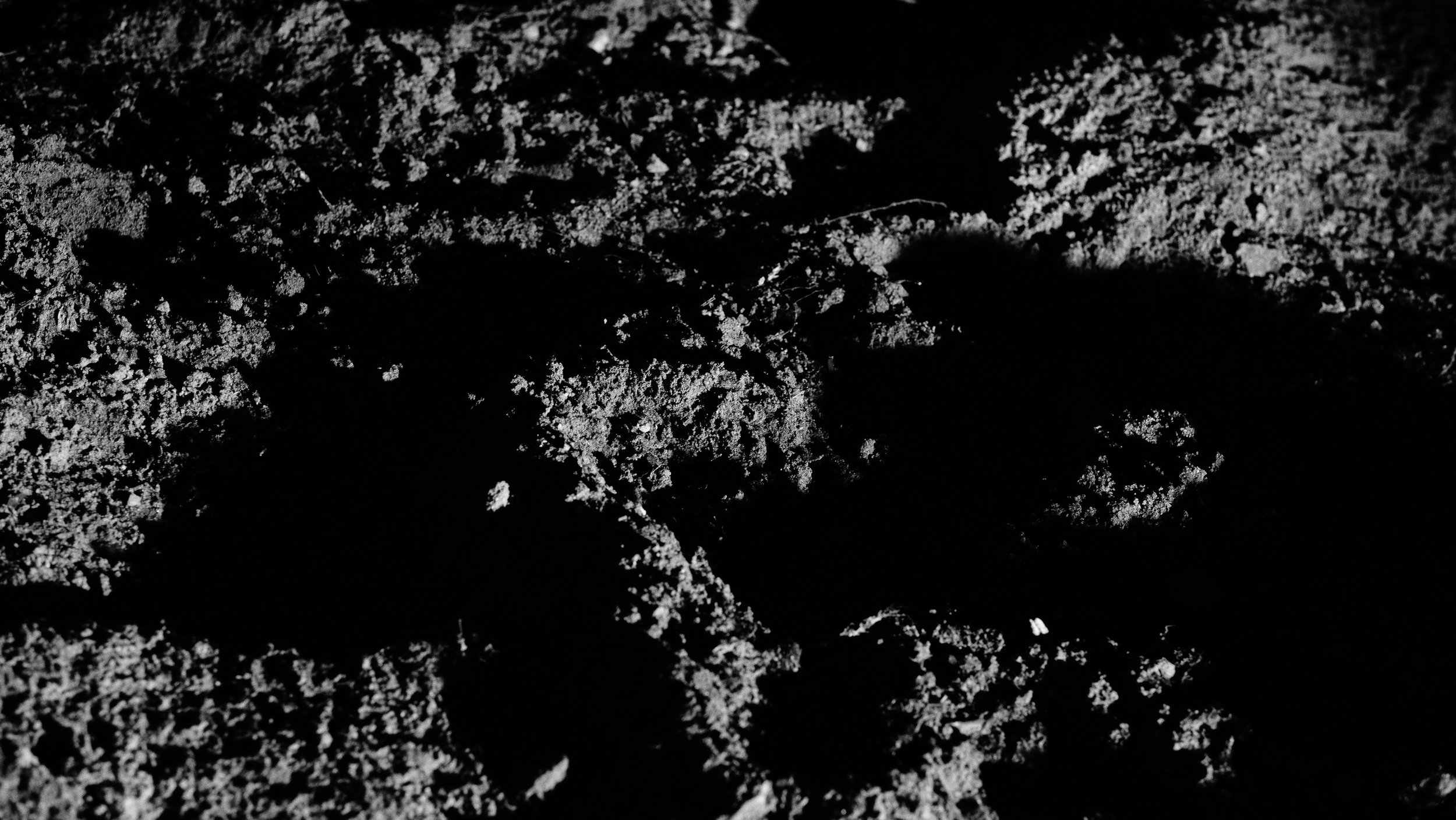 _DSF0161.jpg