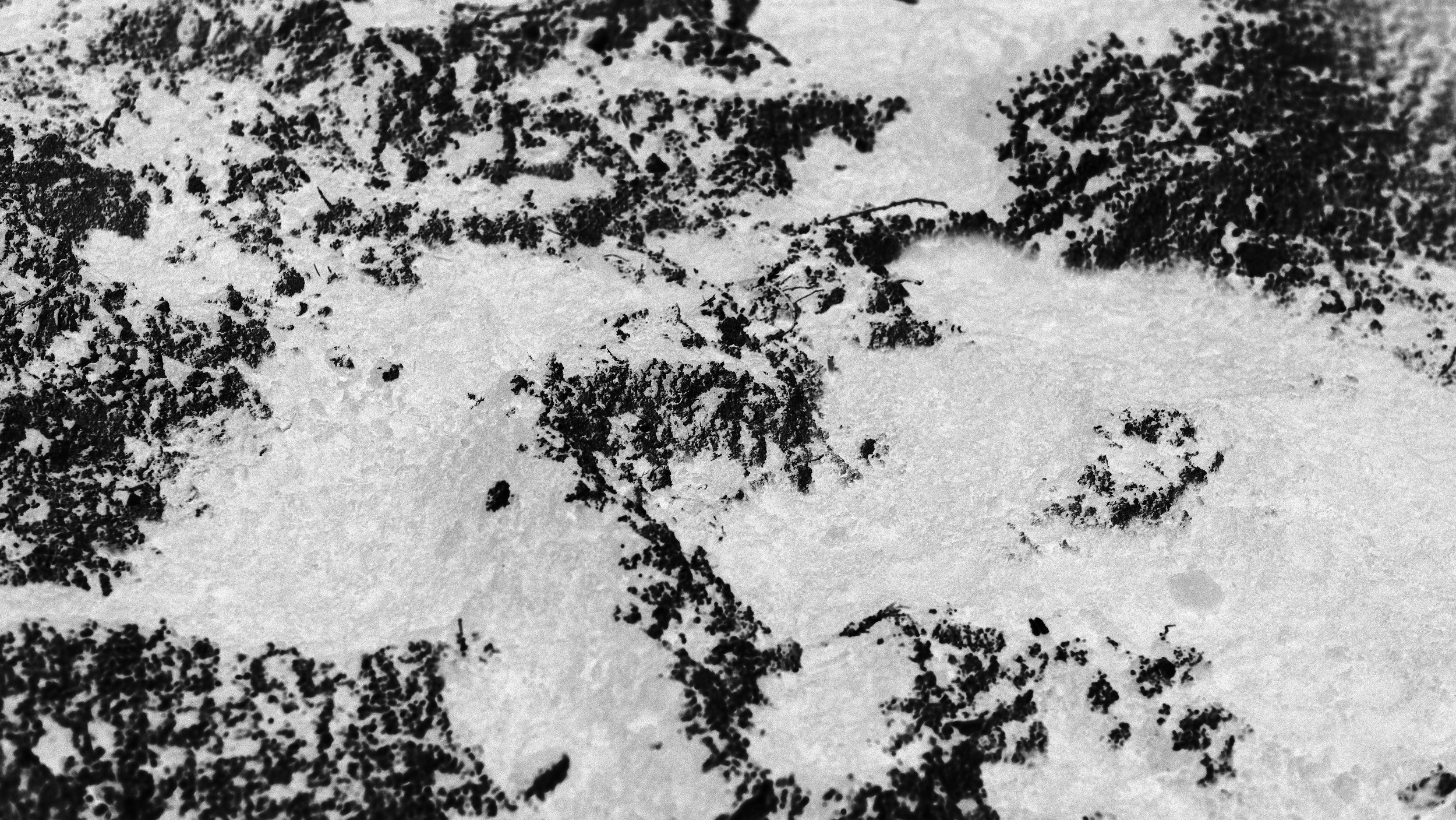 _DSF0161.1.jpg