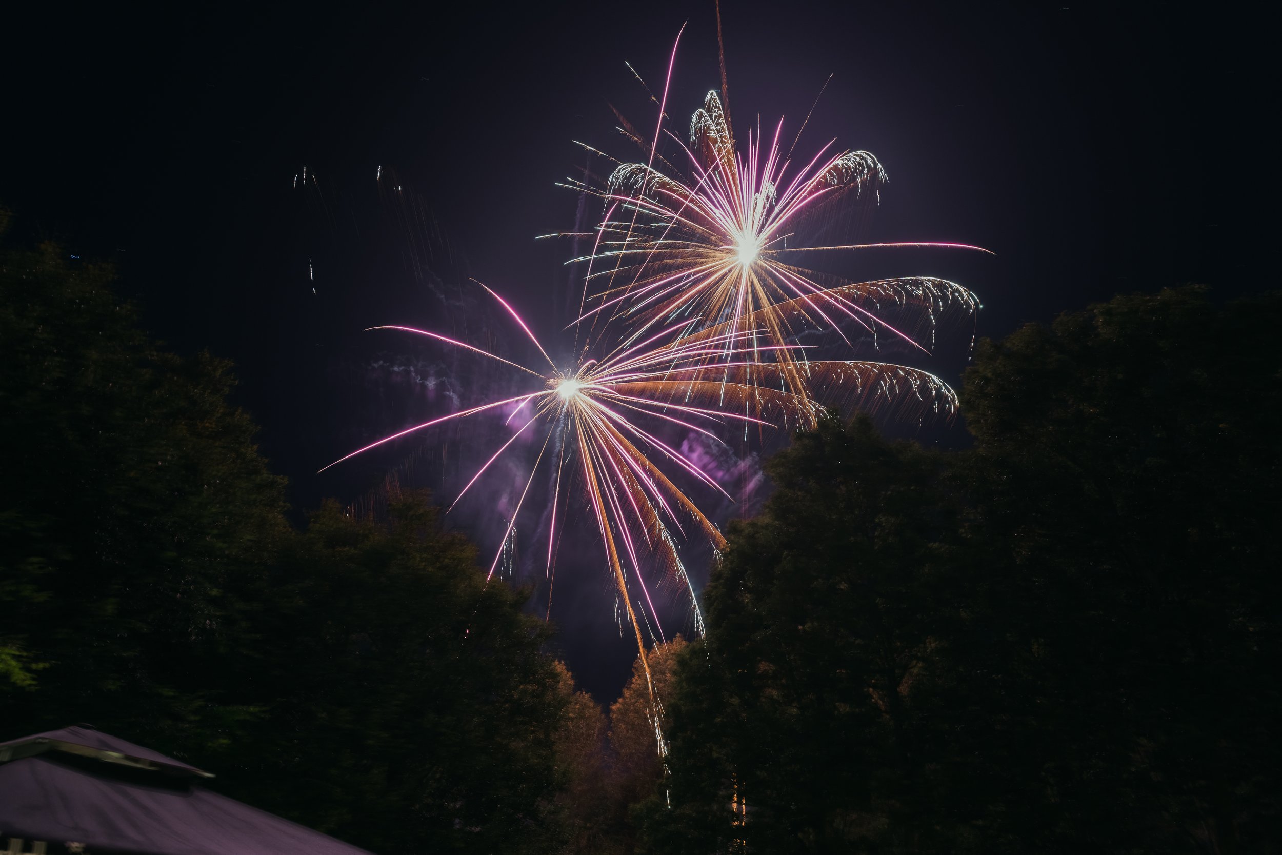 Colorful fireworks display in night sky with trees