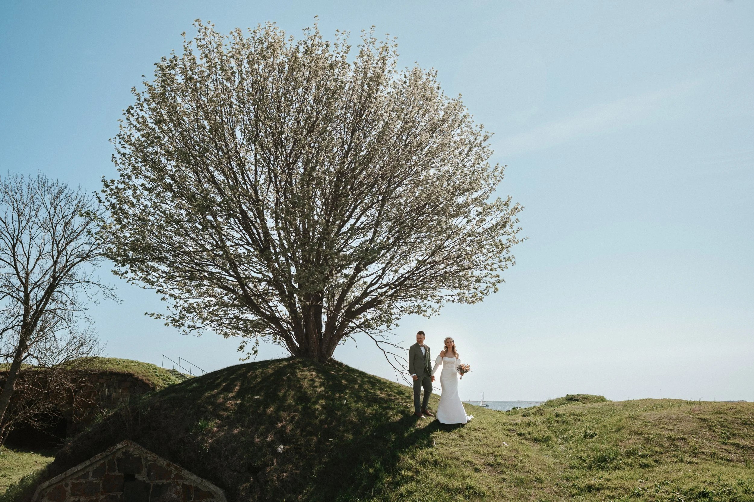 Bride and groom walking on grassy hill with large tree, clear sky in background.