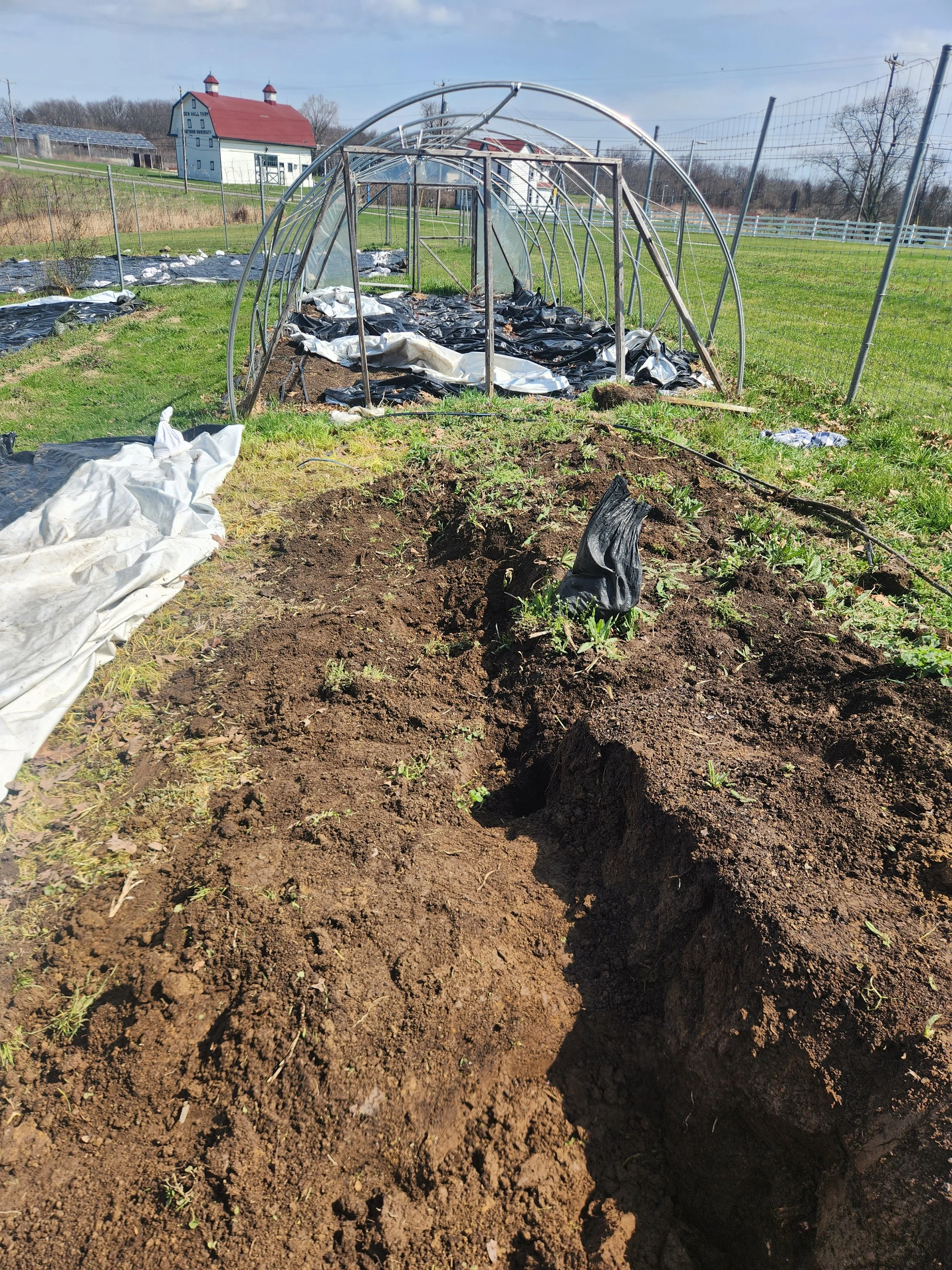 raised bed project 2.jpg