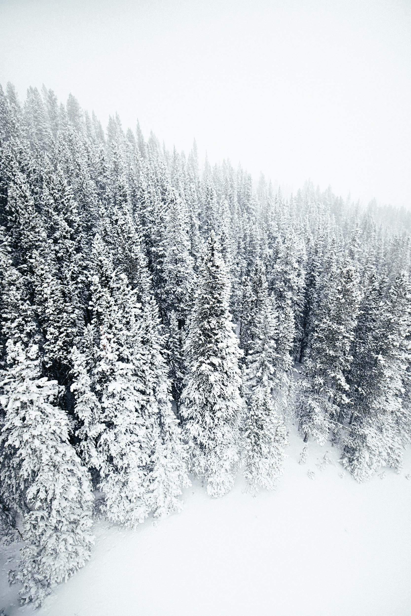unsplash-image-ony2Qt9lP38.jpg