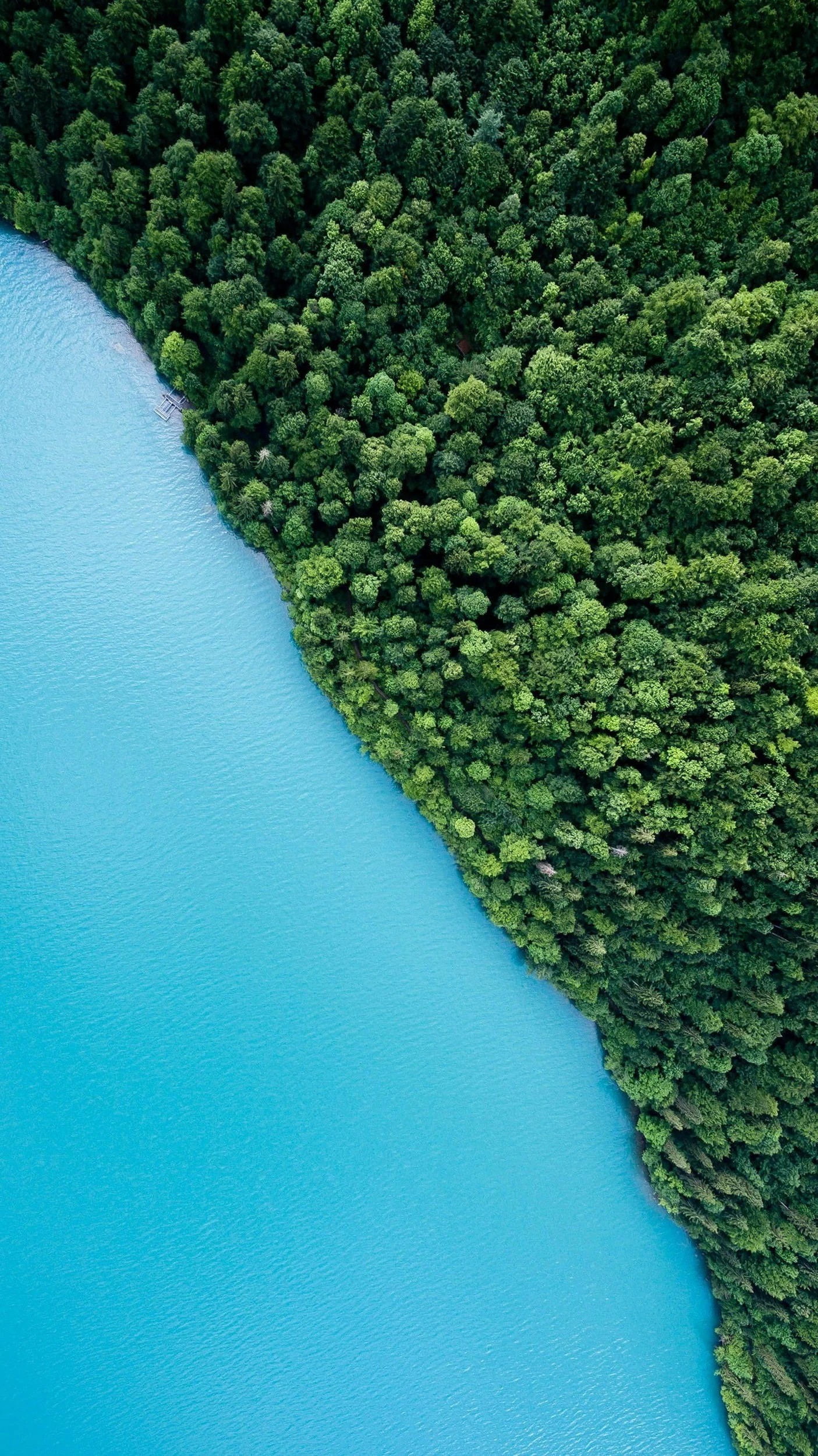 Ai4Nature