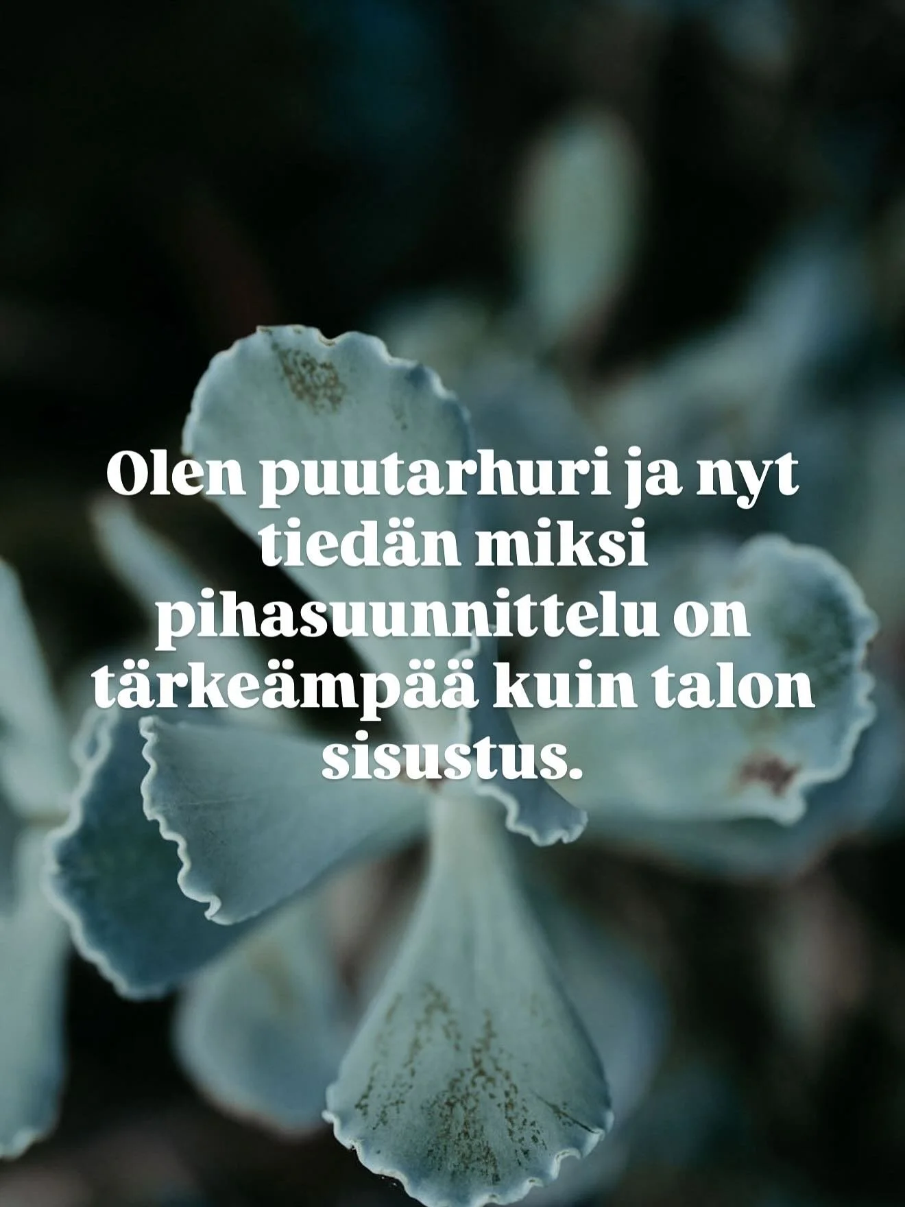 Charlie Munger oli miljard&ouml;&ouml;ri ja Warren Buffettin elinik&auml;inen bisneskumppani.

H&auml;n tiesi, miten arvoa luodaan &ndash; ei vain busineksessa, vaan my&ouml;s kotioloissa.

&ldquo;K&auml;yt&auml; rahaa puihin &ndash; saat sen takaisi