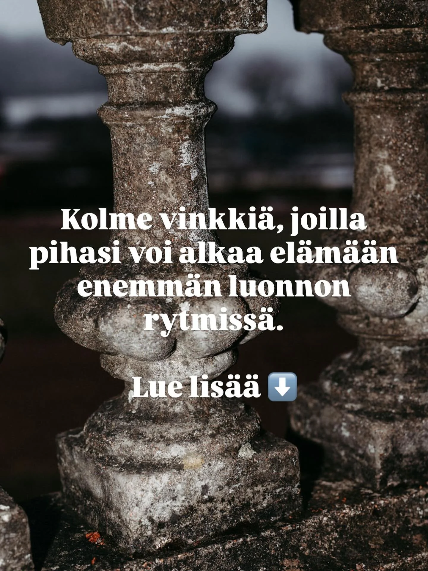 El&auml;v&auml; piha ei synny sattumalta &ndash; se syntyy rytmist&auml; ja ymm&auml;rryksest&auml;. 🌿

Kolme asiaa, joilla voit aloittaa:

1️⃣ Lis&auml;&auml; kerroksia &ndash; hein&auml;t, pensaat, puut, jotka luovat muotoa ja el&auml;m&auml;&auml