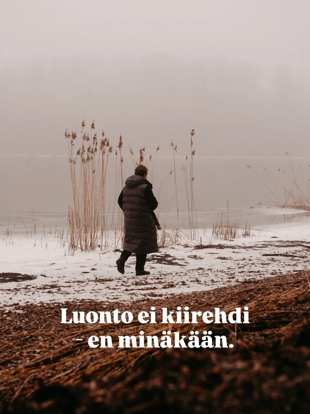 &hellip; ja silti kaikki tapahtuu - t&auml;ydellisesti.

Mik&auml;&auml;n ei kasva siksi, ett&auml; kalenterivuosi vaihtuu.

Kasvu alkaa vasta, kun olosuhteet ovat oikeat&hellip; N&auml;in luonto opettaa minua joka p&auml;iv&auml; niin t&ouml;iss&aum