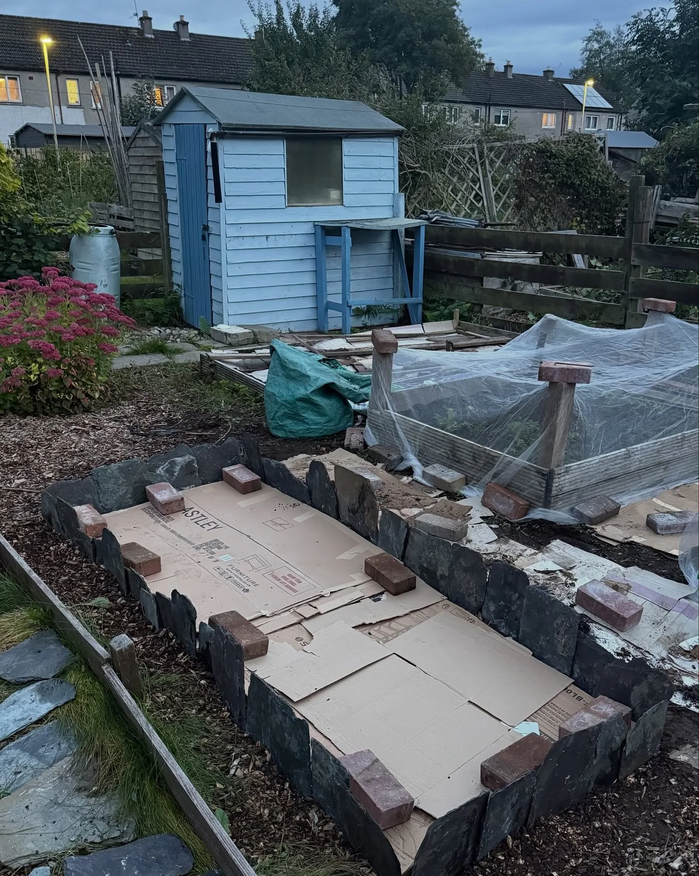 Getting ready for next summer&rsquo;s garlic crop. 🧄