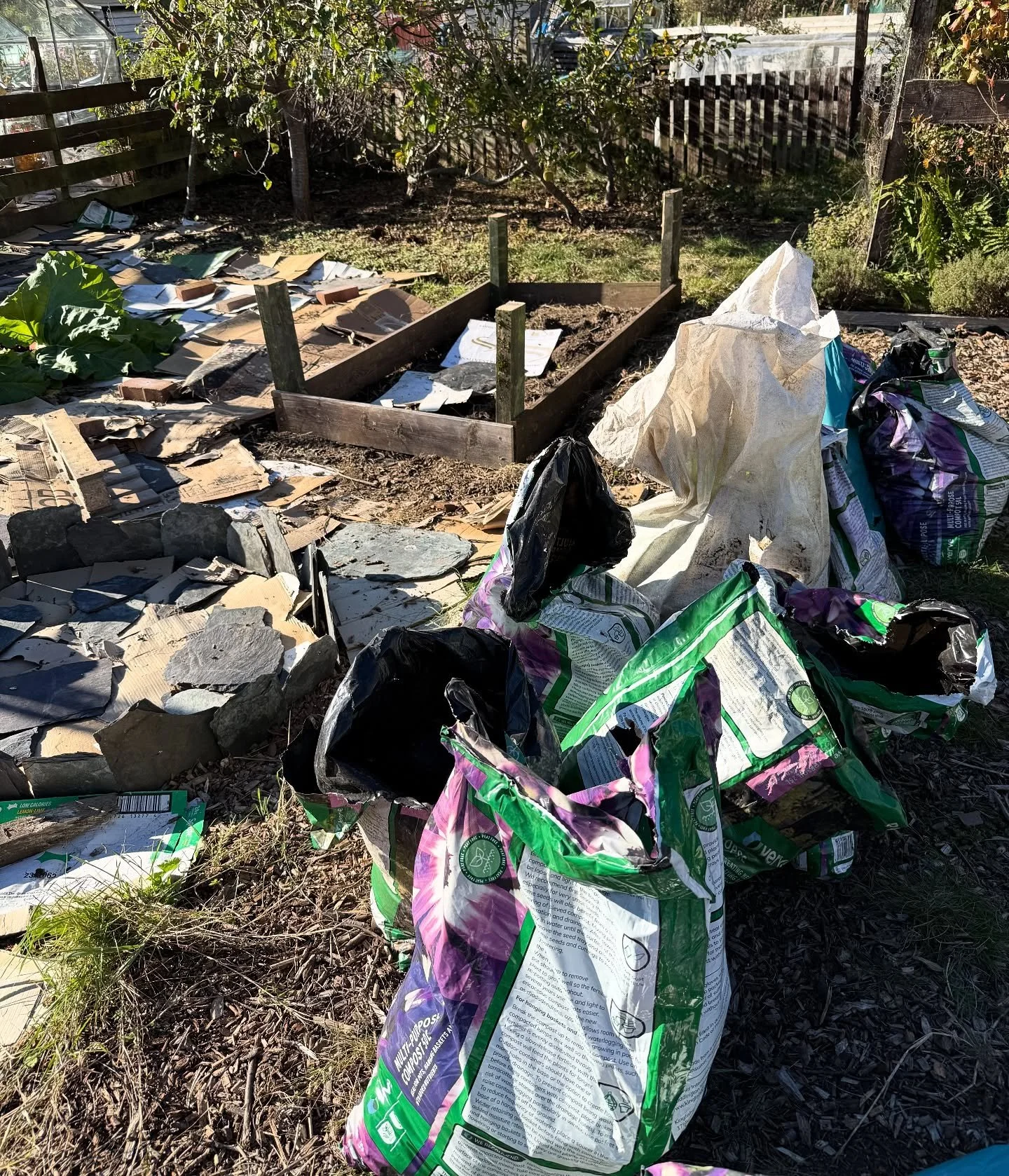Glamorous morning shovelling 14 sacks of horse manure for the plot from the Black Isle. Almost came away with a stowaway&hellip; 🐈&zwj;⬛
#allotmentlife