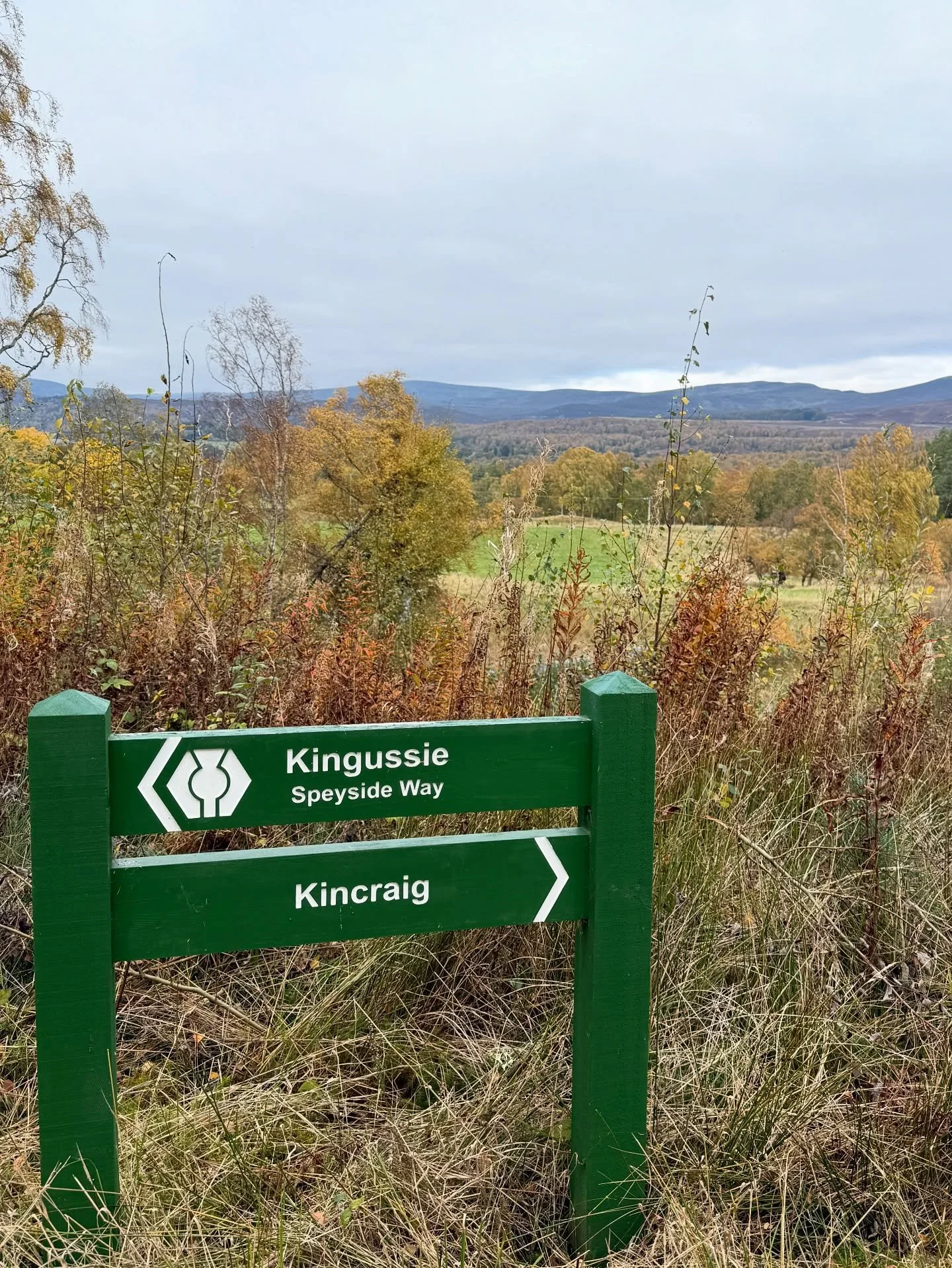 Speyside Way from Dalraddy to Newtonmore. Glorious. May not be able to walk tomorrow 😁🥾

@cairngormsnationalpark #speysideway #walkhighlands