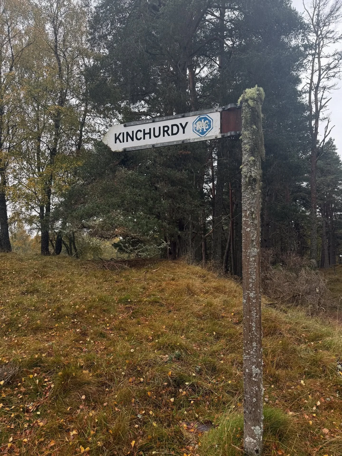 A very wet start for Day 2 of our SpeysideWay wander&hellip; Boat of Garten back to Dalraddy. Lovely! Steam train was out and about too but my phone was too buried  To get a pic. 

#SpeysideWay #wetwalks #cairngorms #highland #outandaboutscotland #th