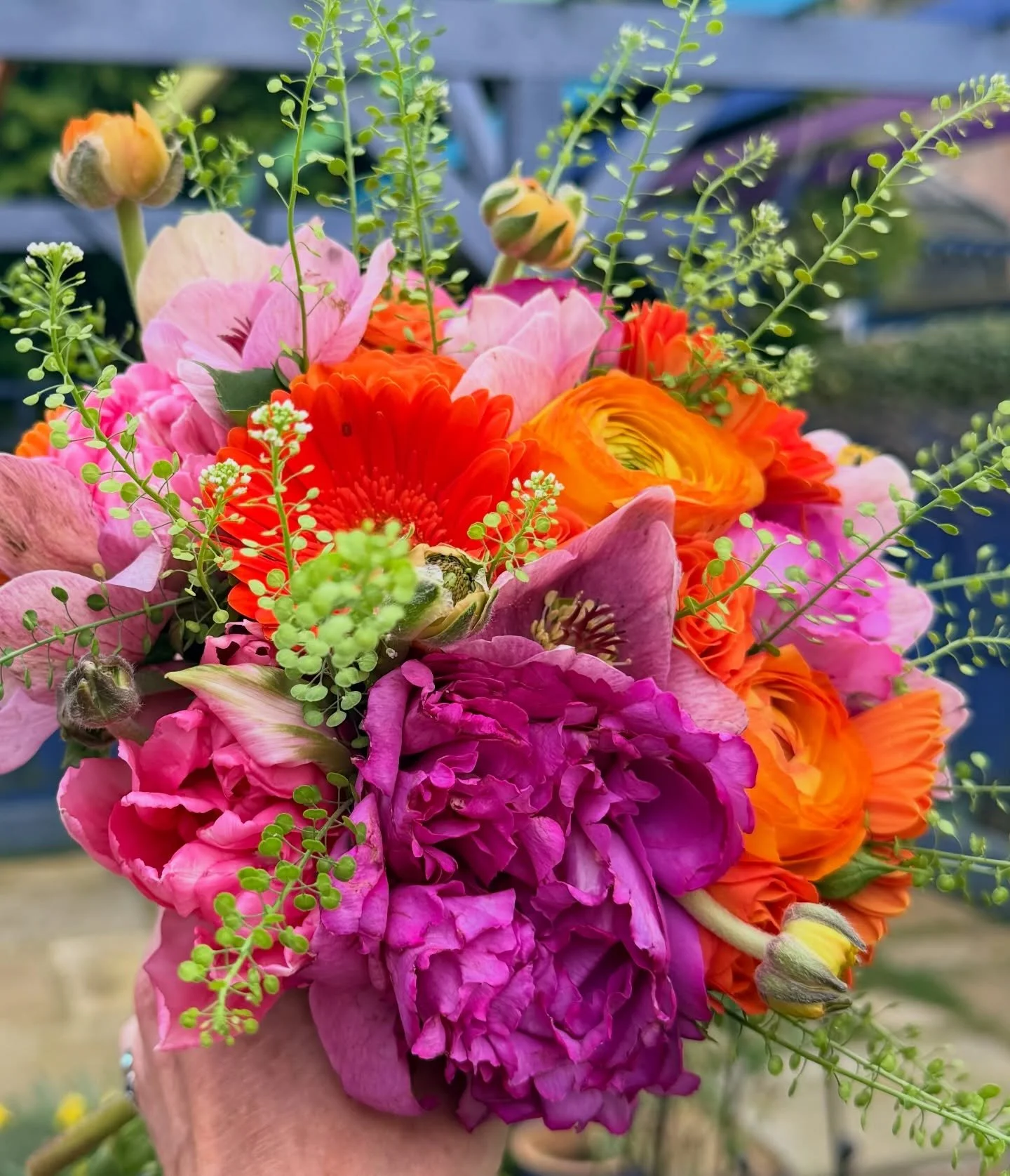 A gift!
Genuinely beautiful and fragrant wee bouquet from @flosflowers.inv - a perk of attending today&rsquo;s @kingsmillshotelweddings Open Day ThanksFlo - Mr Marr loves them 😁😘❤️