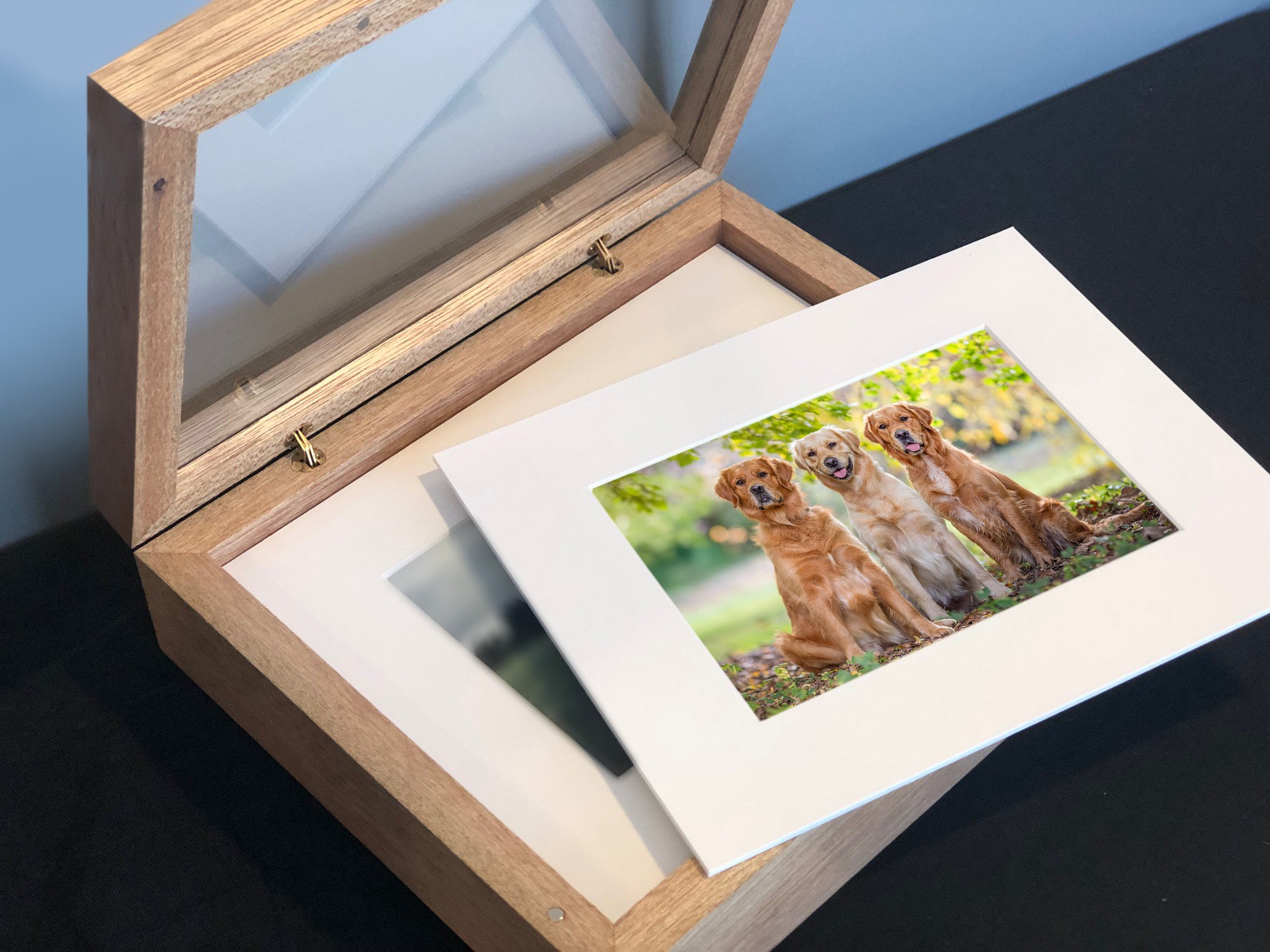 Photograph of a wooden picture frame with a wide white mat, displaying a photo of three golden retriever puppies sitting outdoors with their tongues out and surrounded by green trees.