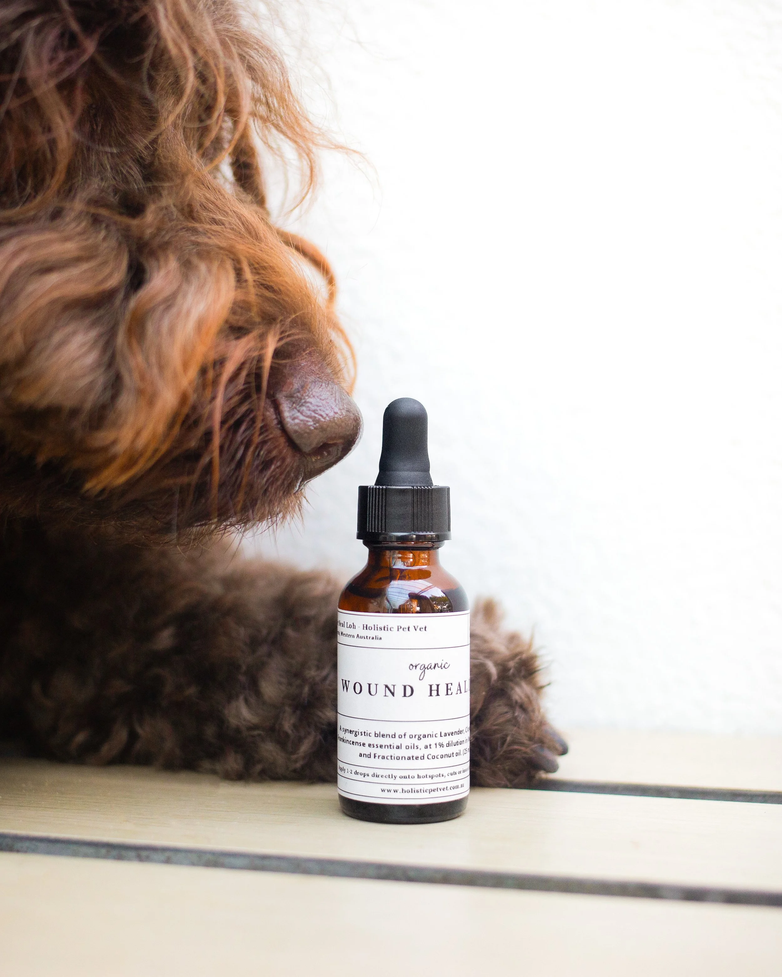 Close-up of a dog's nose and part of its face, with a dropper bottle labeled 'Wound Healing' in front of it on a light-colored surface.