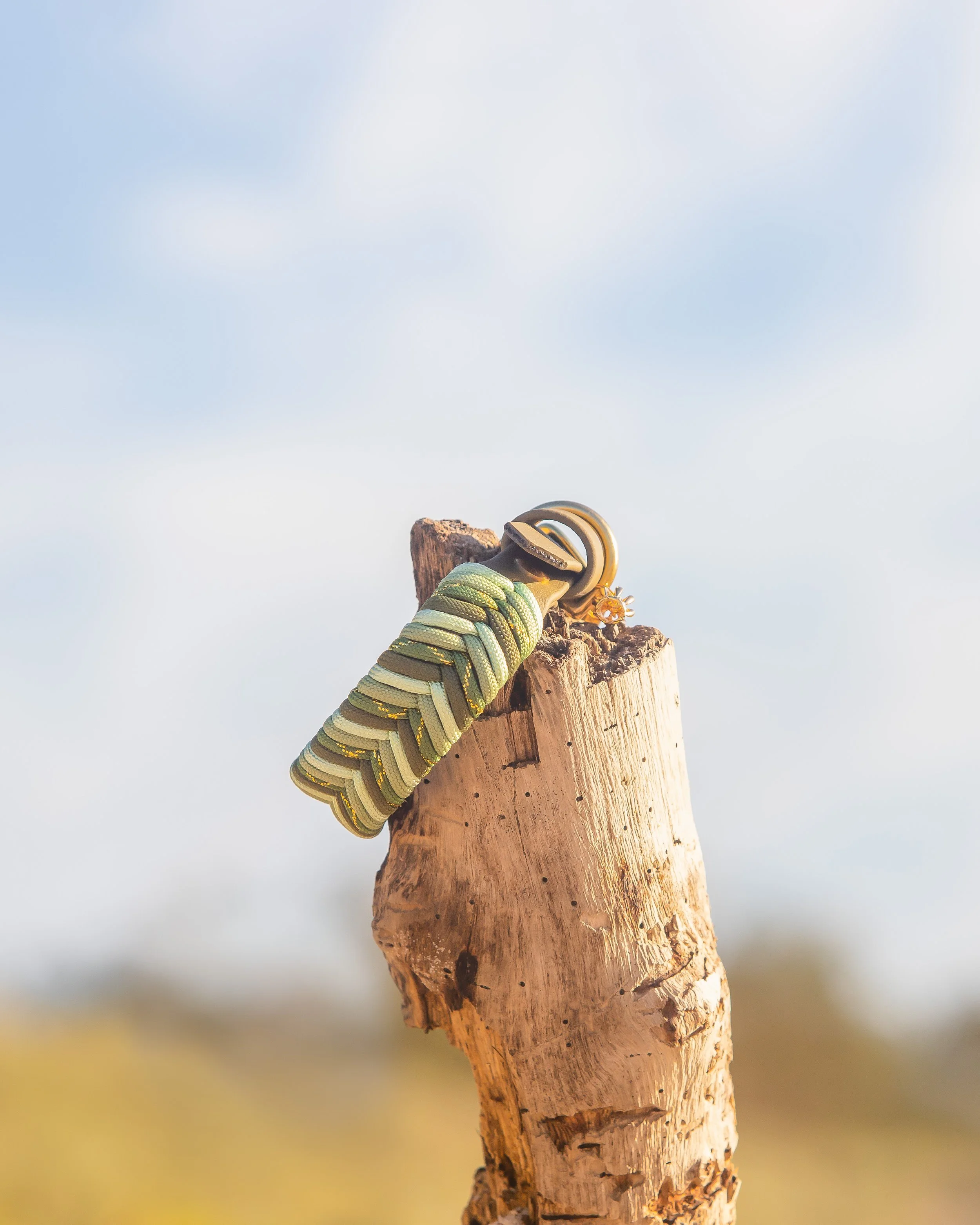 Green and gold climbing harness with carabiners attached, draped over a weathered wooden post against a cloudy sky background.