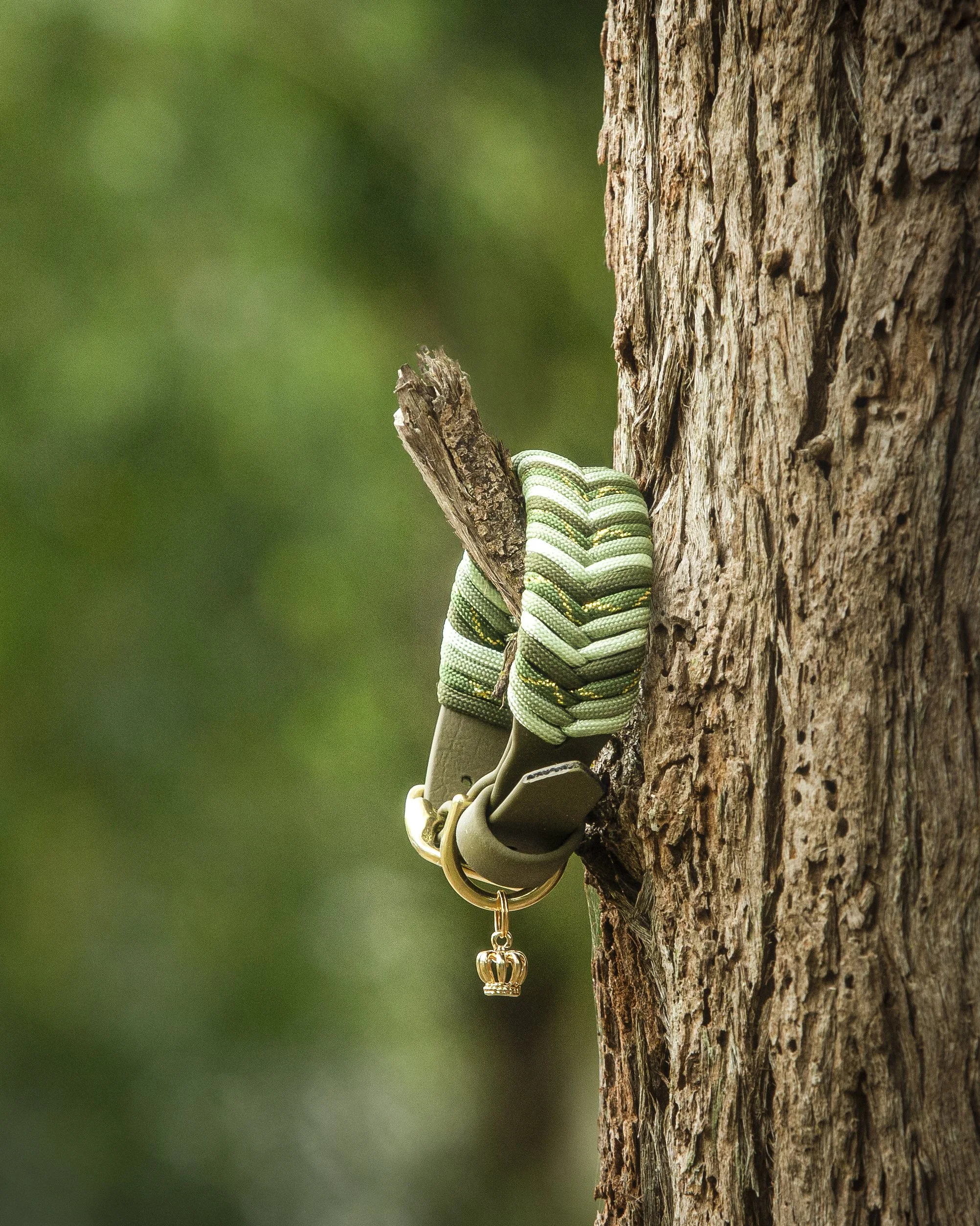 A close-up of a green and black rattlesnake climbing a weathered tree trunk, with a blurred green background.