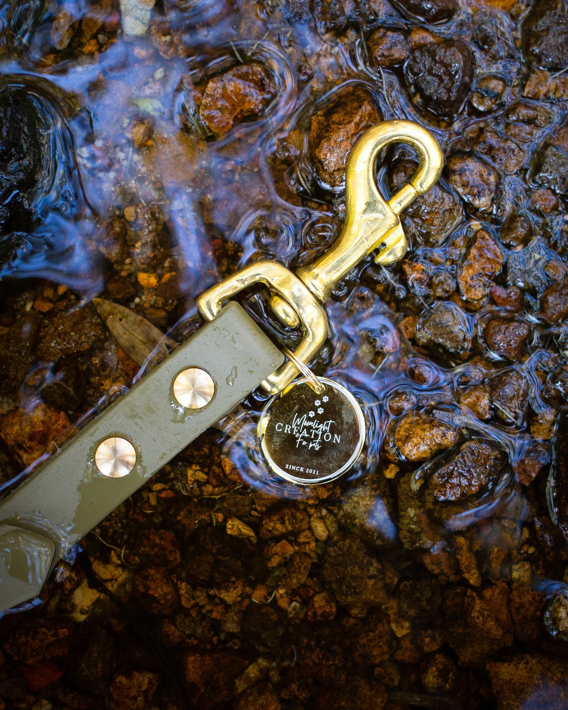 A close-up view of a golden logo and a round keychain attached to a metal object, lying on wet small rocks in a shallow stream.