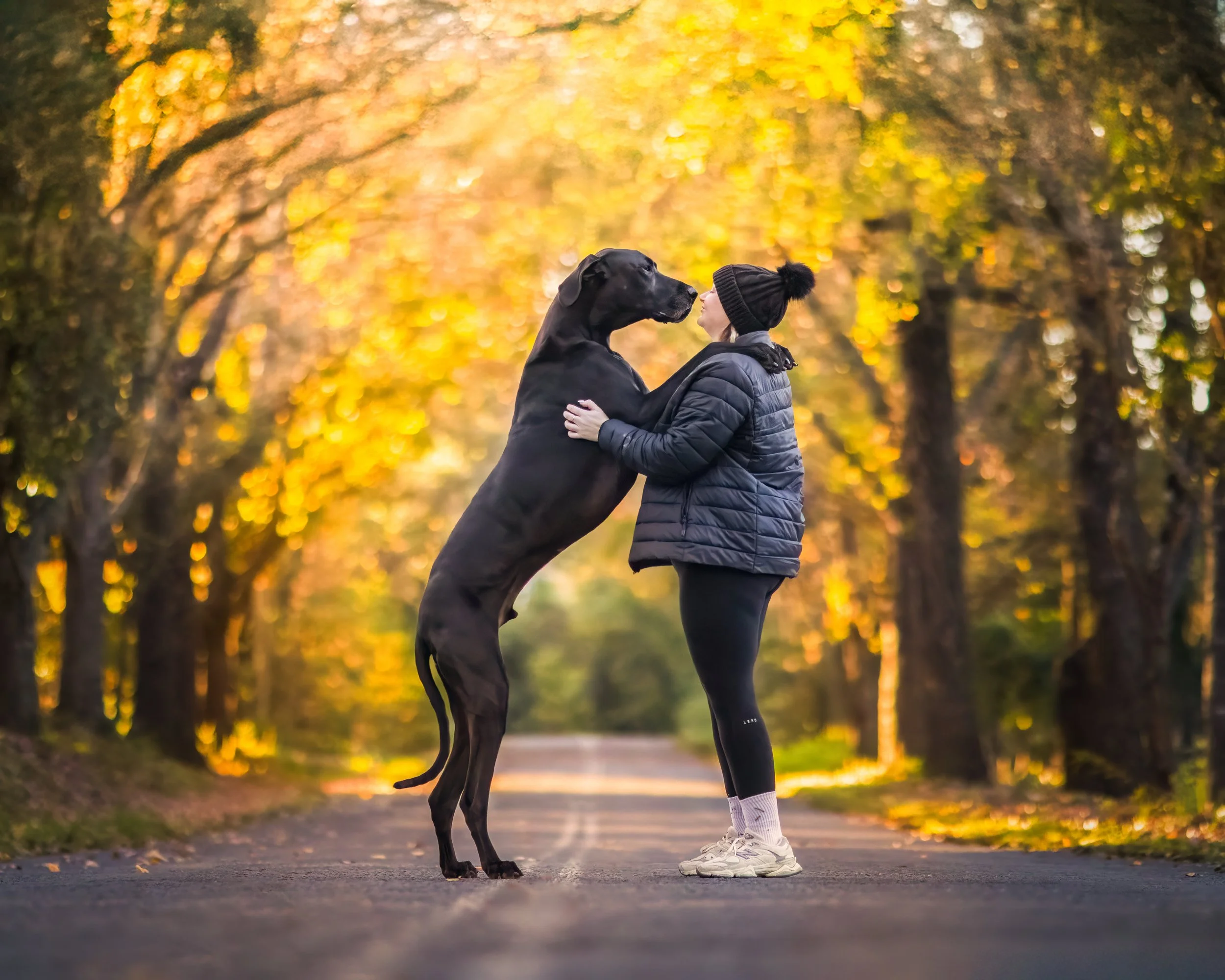 A person in a beanie and athletic clothing is holding a large black dog on its hind legs in a park with autumnal trees in the background.