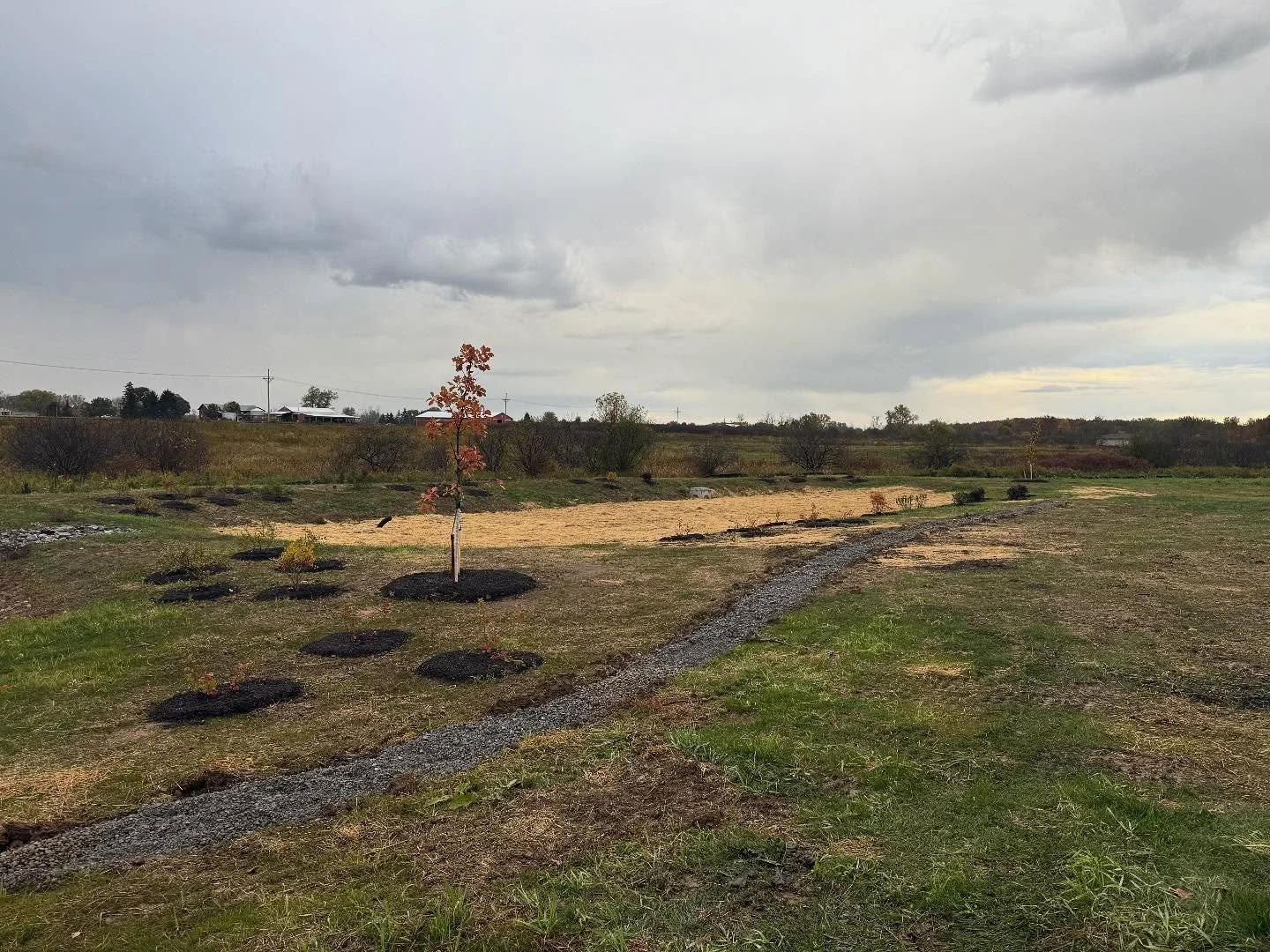 Things keep moving. Landscaping and light poles are in. More updates this week. #FLXTurf #Yourhometurf #Comingsoon