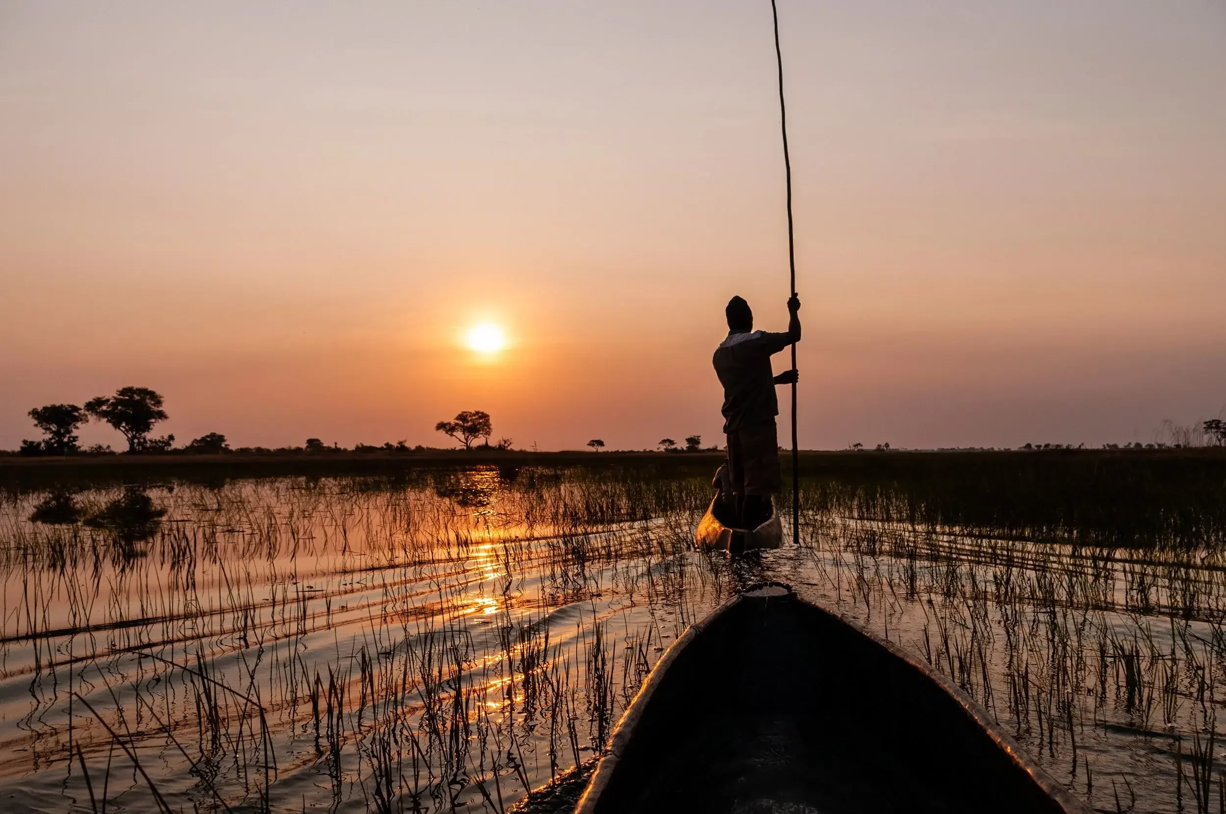 A peaceful view of a guide navigating a boat through the tranquil waters of the Okavango Delta in Botswana during a scenic golden hour sunset.