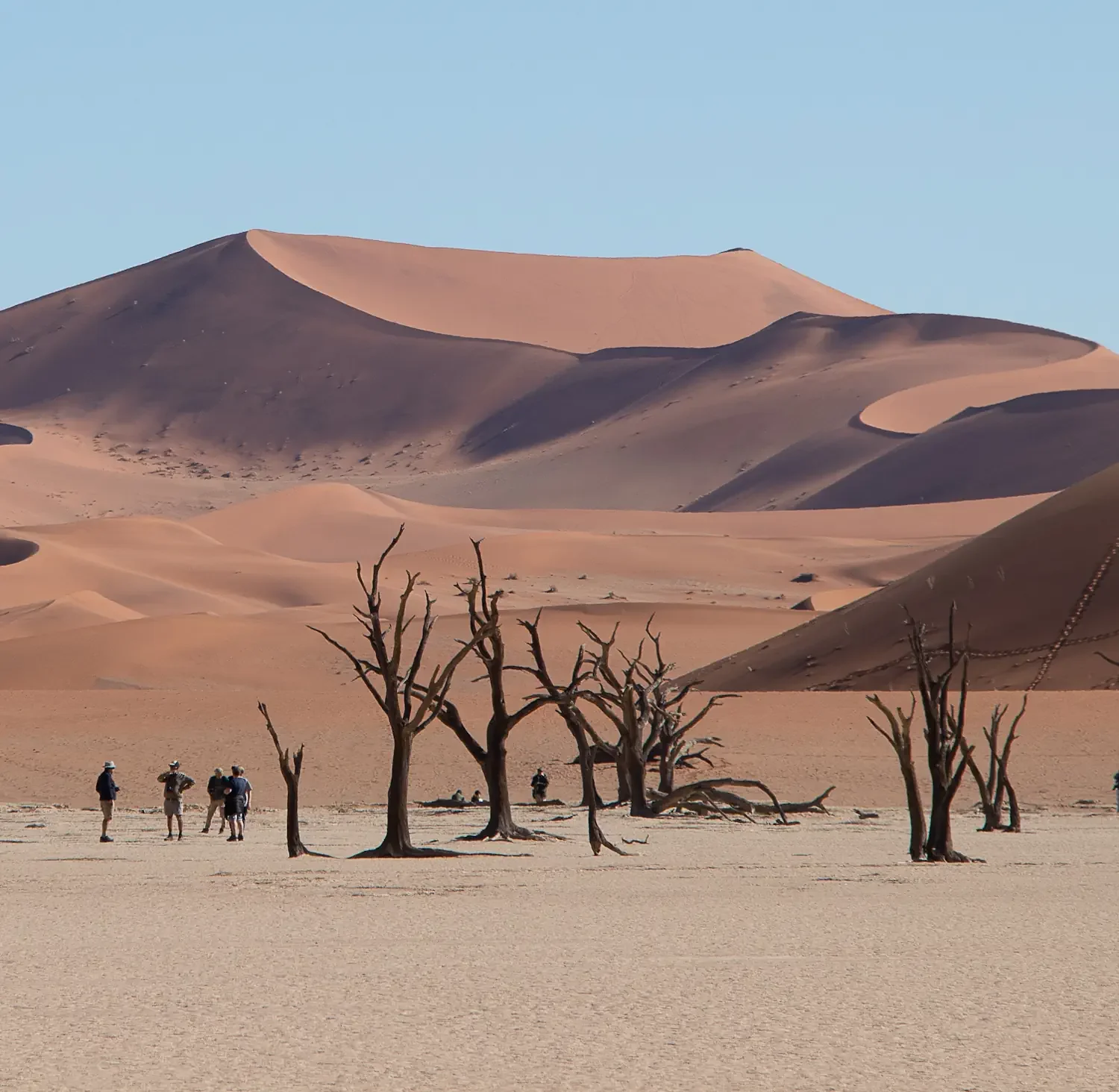 Travelers walking among ancient dead trees against the backdrop of towering red sand dunes in Sossusvlei Namibia