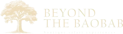 Beyond the Baobab logo