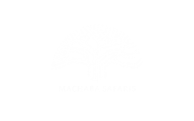 Machaba