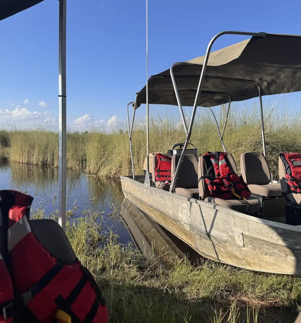 A private aluminum safari boat equipped with comfortable seating and red life jackets, moored at a grassy riverbank ready for an exclusive water excursion.