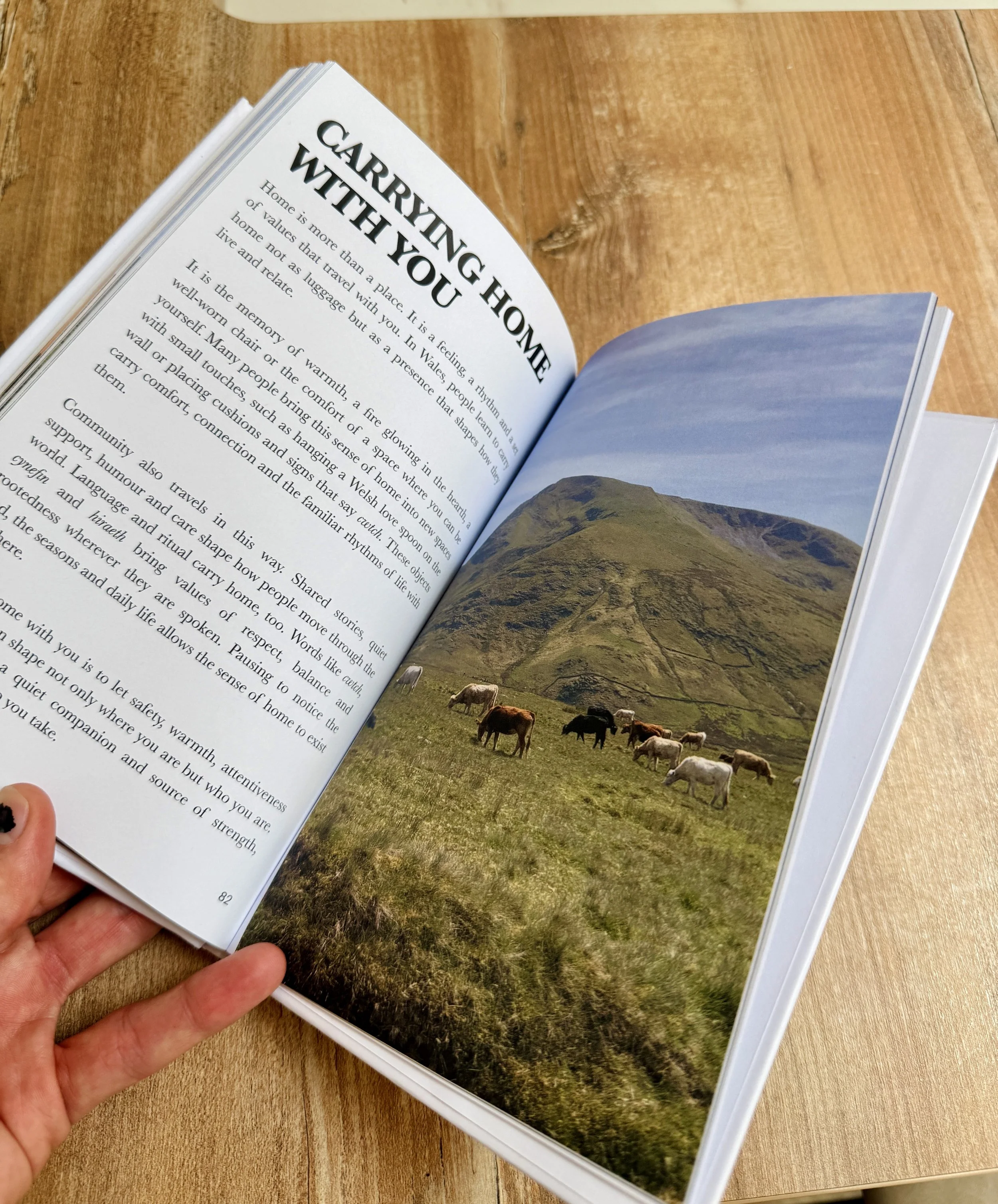 Open book showing a page with the title 'CARRYING HOME WITH YOU' and an image of a grassy hill with cows grazing, against a mountain backdrop.