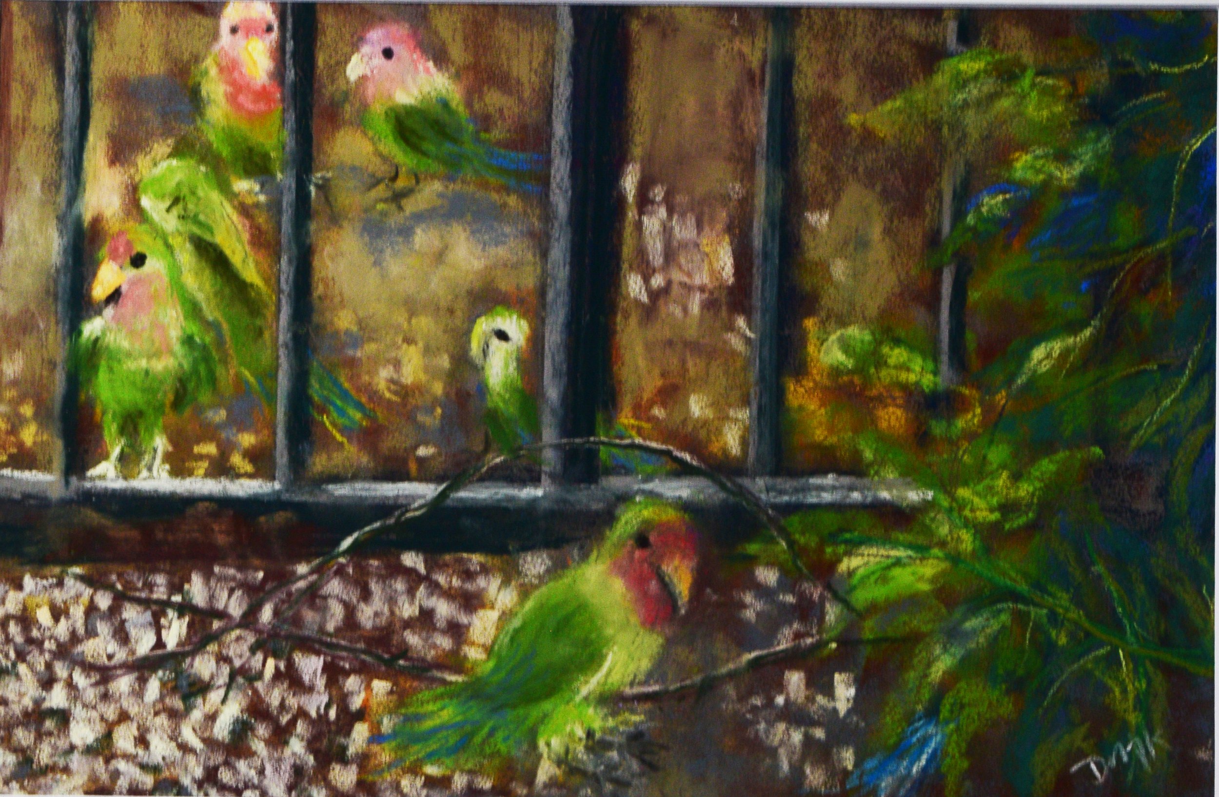 Parrots of Scottsdale