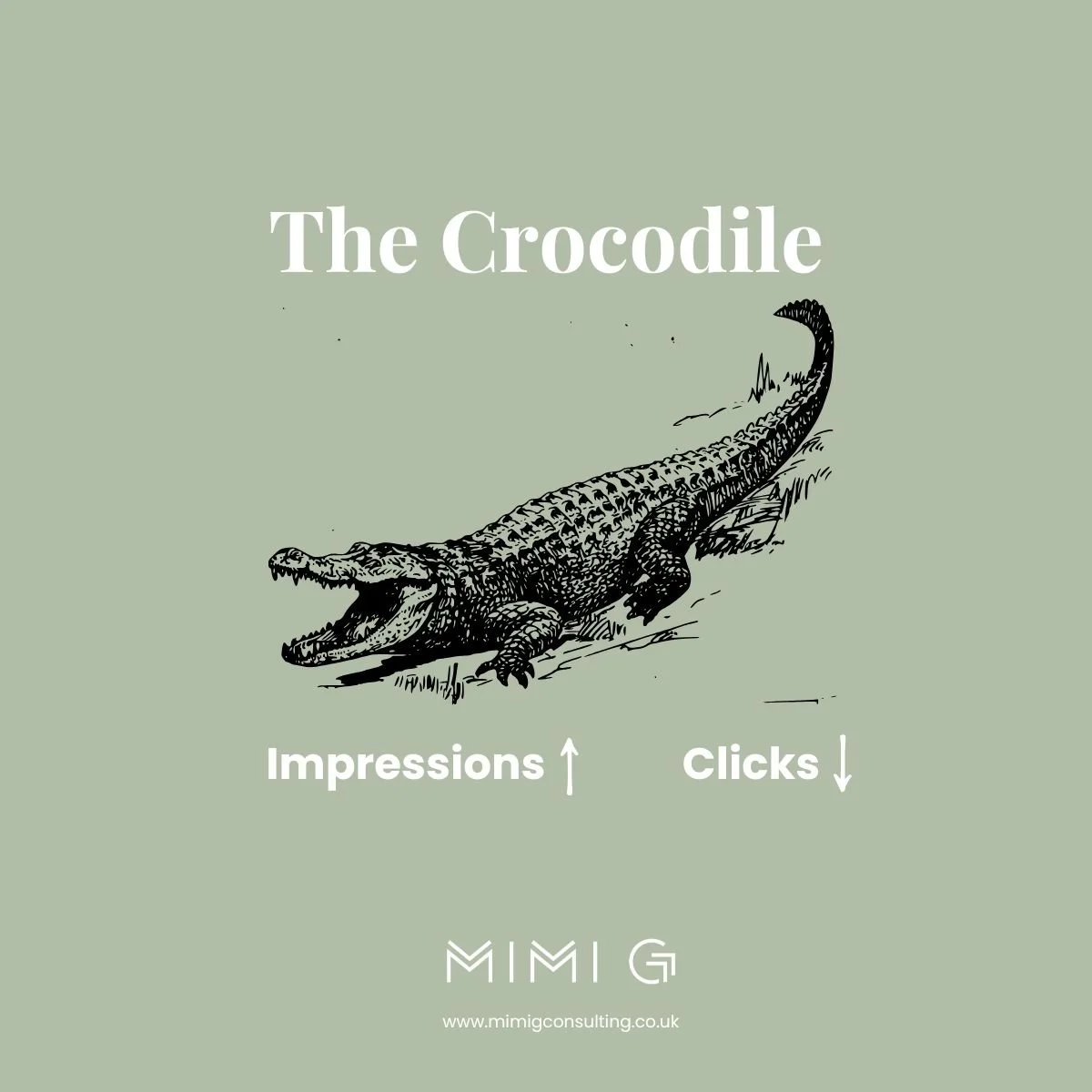 The Crocodile at the Door: A Founder’s Guide to Thriving in the New Age of Google AI