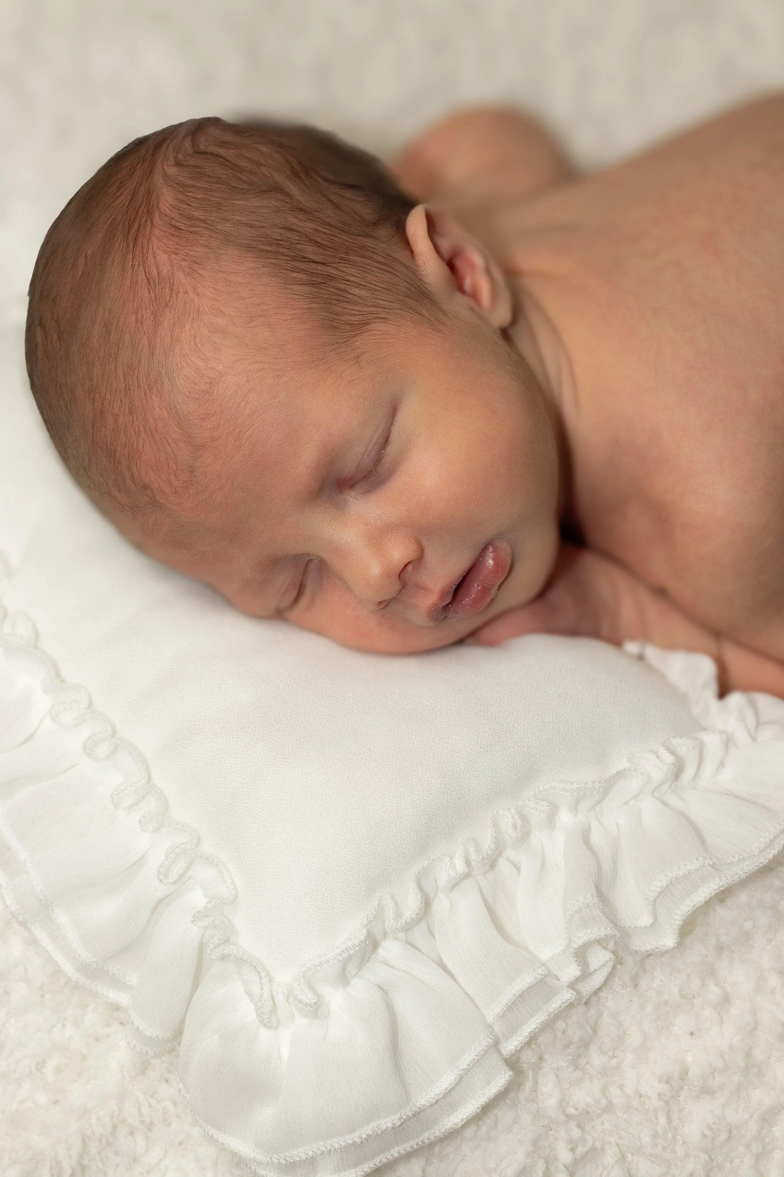 sibling colour-1 (2).jpeg