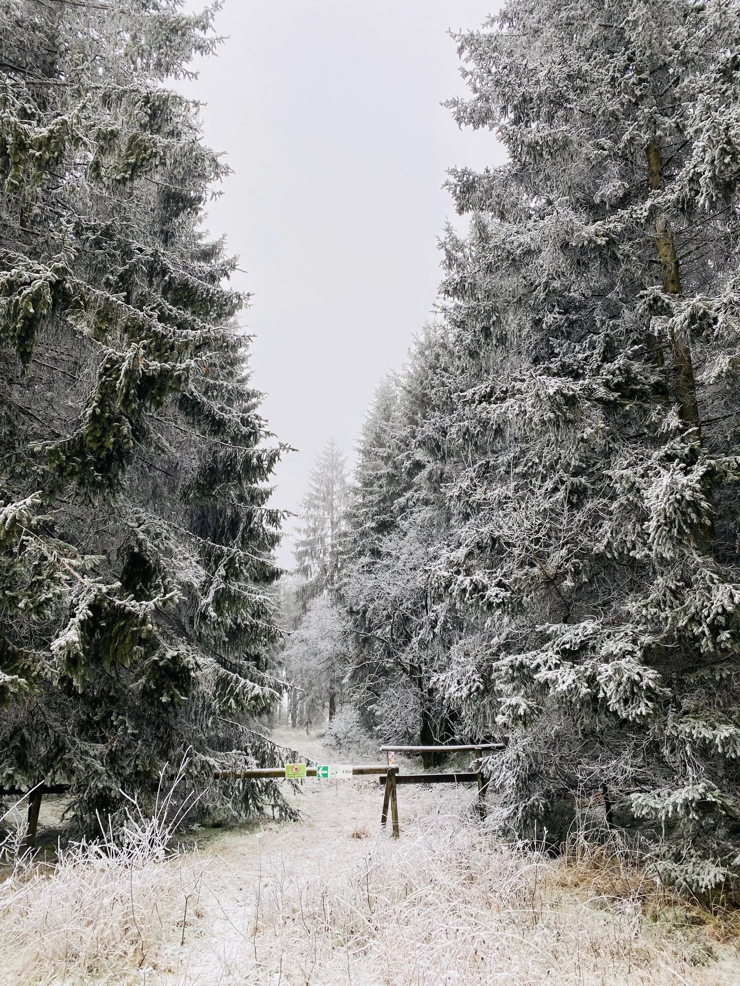 Retour à SOi Retraite Hiver.jpeg