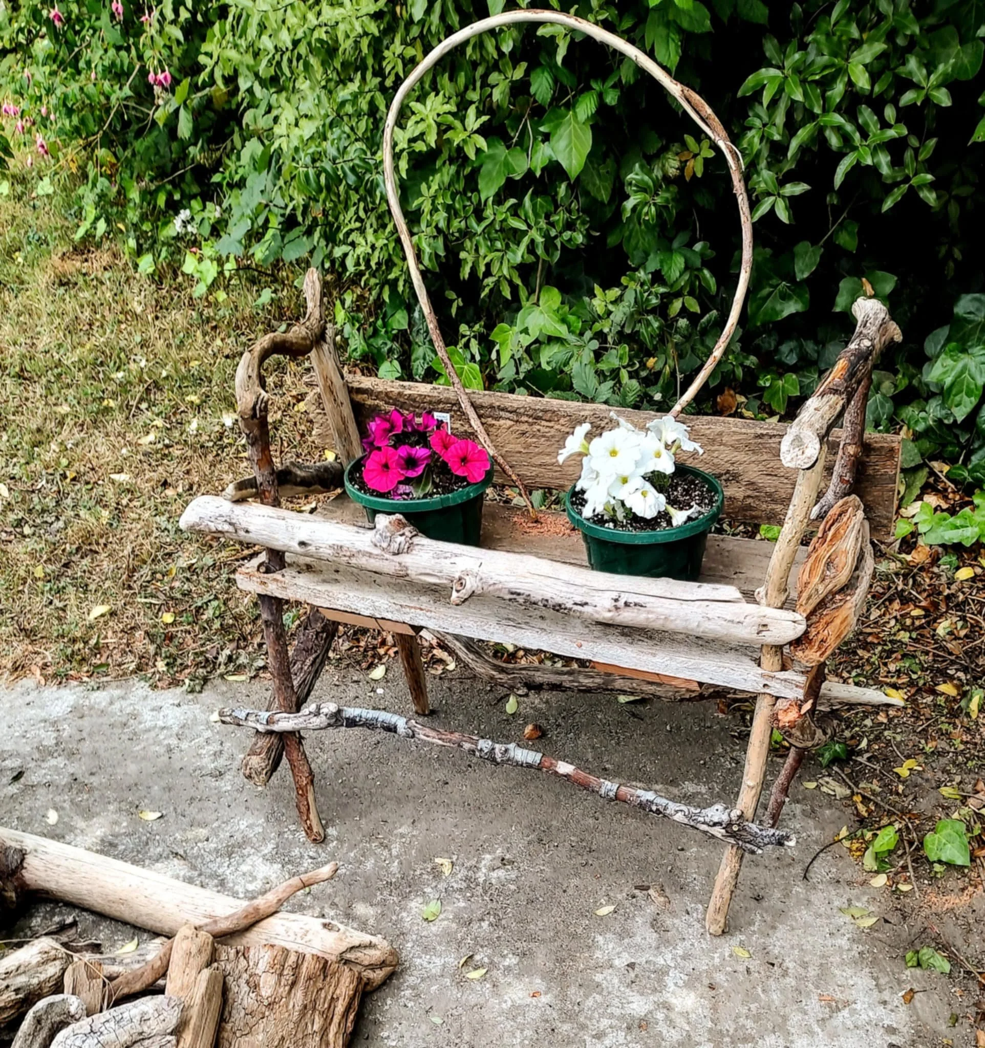 DRIFTWOOD CREATIONS - PLANTER WITH TRELLIS - (Plant available for additional $5)
