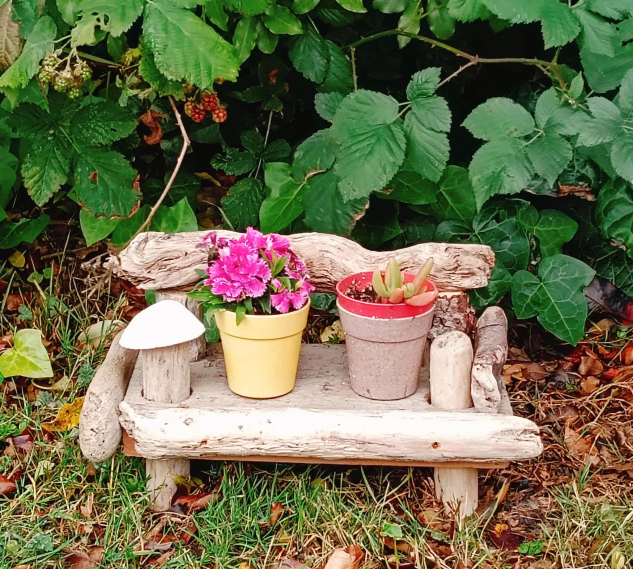 DRIFTWOOD CREATIONS - SMALL PLANTER NO 2 - $25 EACH - (plant available for additional $5)