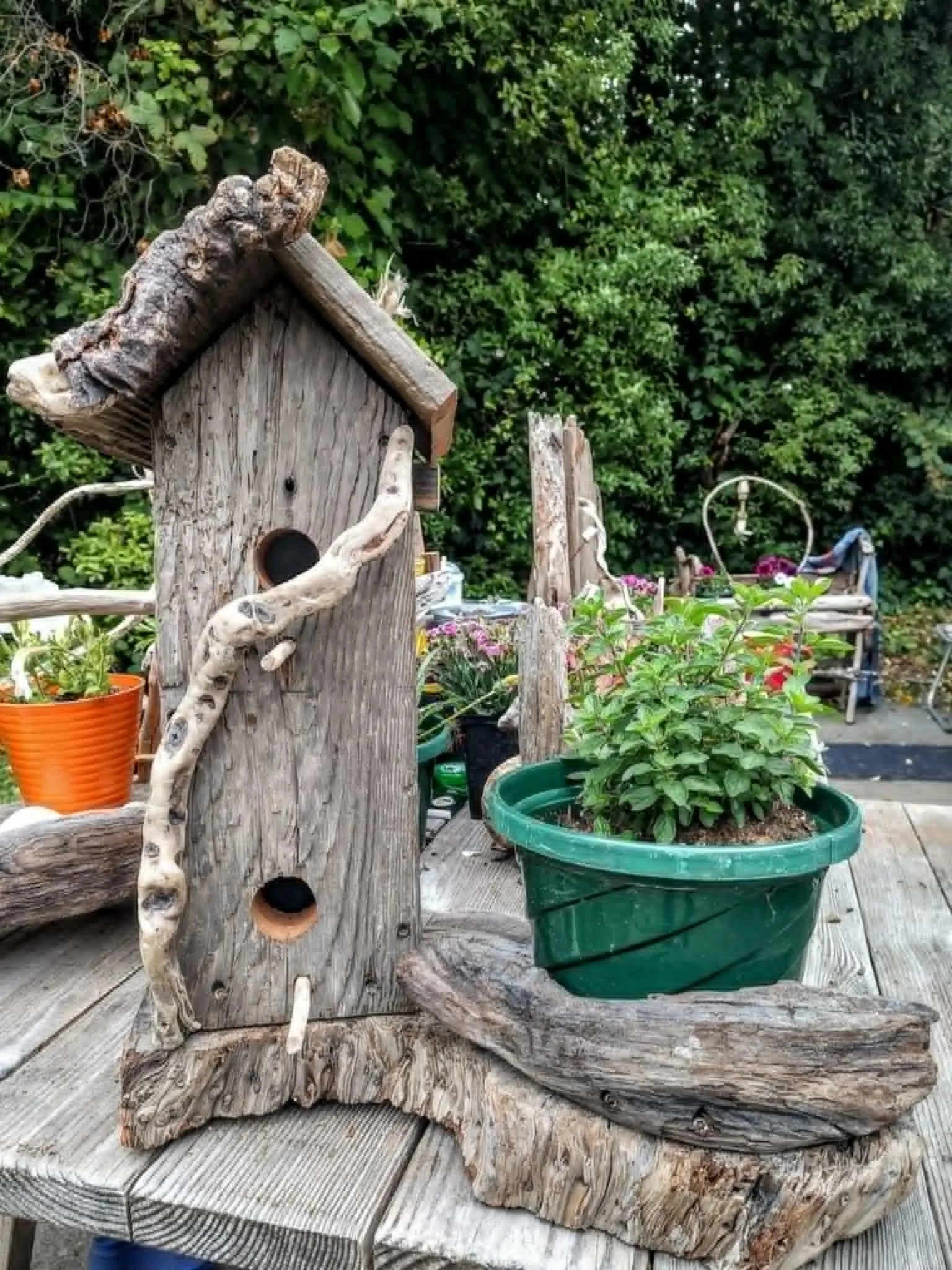 2 STOREY BIRD CONDO.jpeg