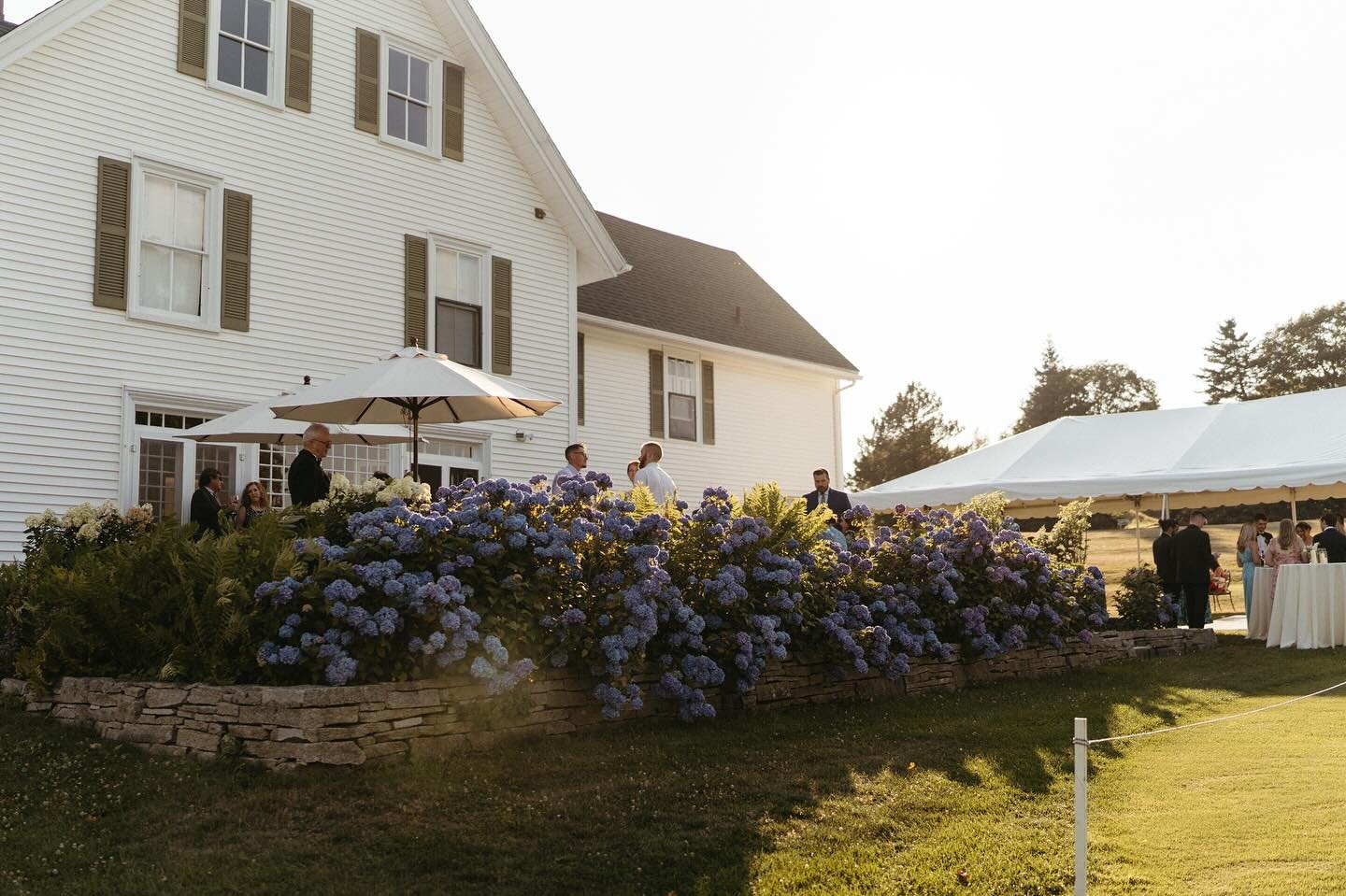 7.20.2024 - Summer Elegance 

Planning, designing, styling, and setting up my own wedding last July was truly a labor of love. Our dreamy day was filled with summer breezes, lush florals, an Italian-inspired feast, details to enhance our guests exper