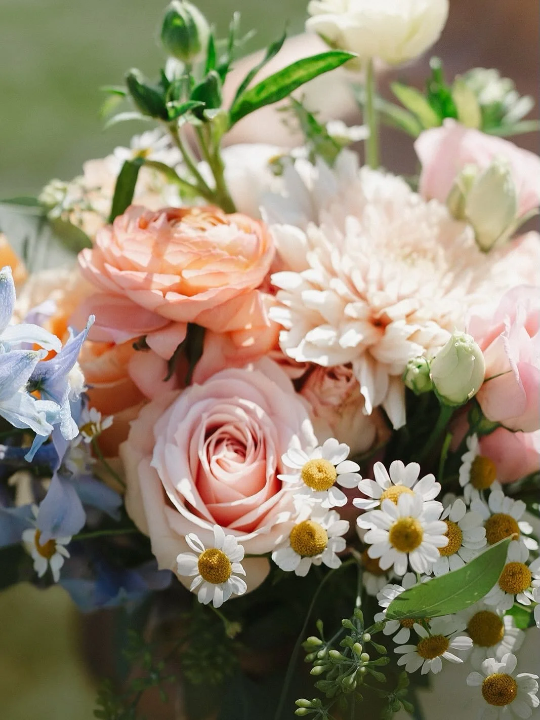 7.20.2025 - Love in Bloom (and by the Sea!) 

I couldn&rsquo;t resist one last chance to show Shannon and Dean&rsquo;s special day some love! These photos by @madisonvanwylen capture some of my favorite details and moments including the incredible @b