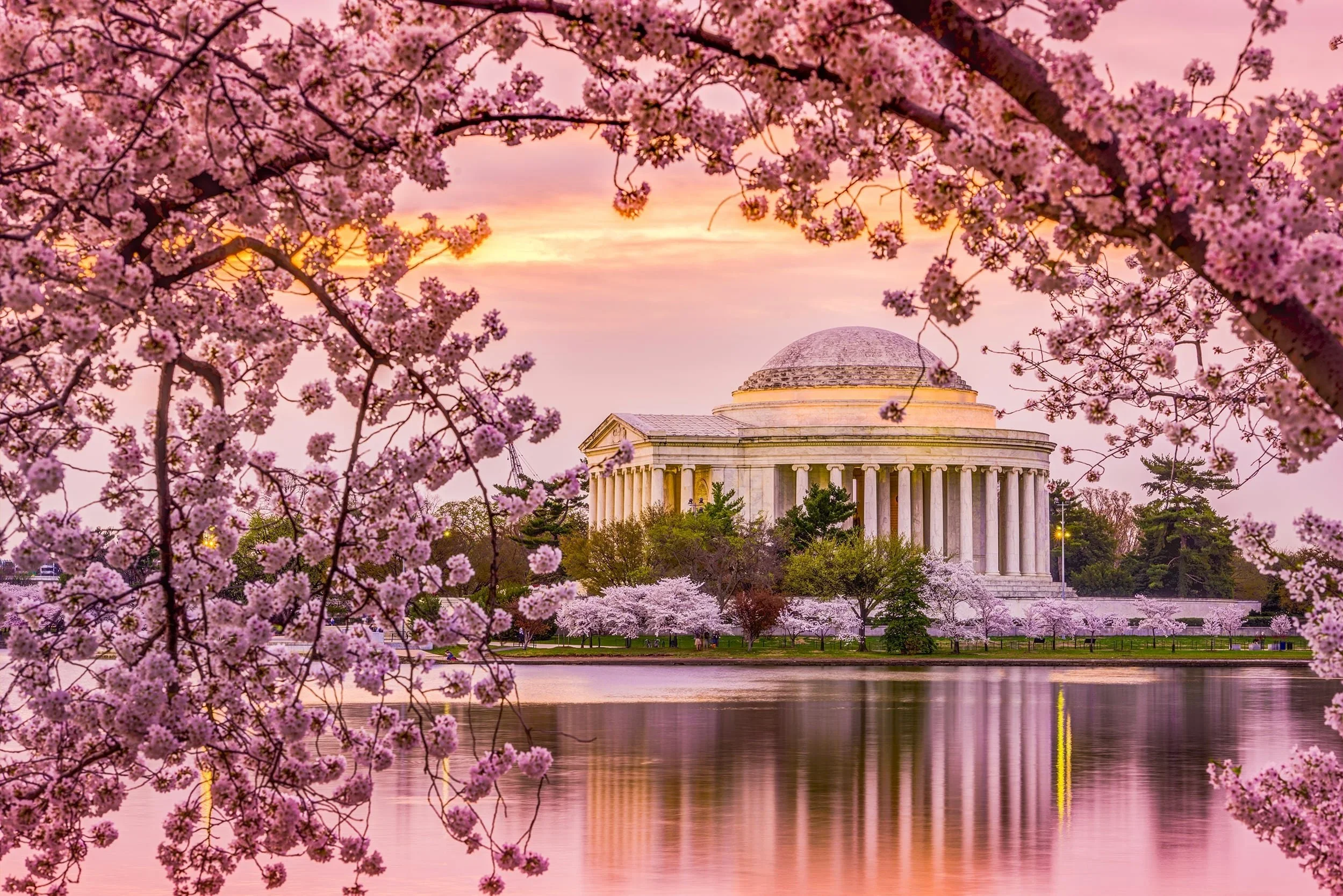 Cherry Blossom 2026 Prost DC Event