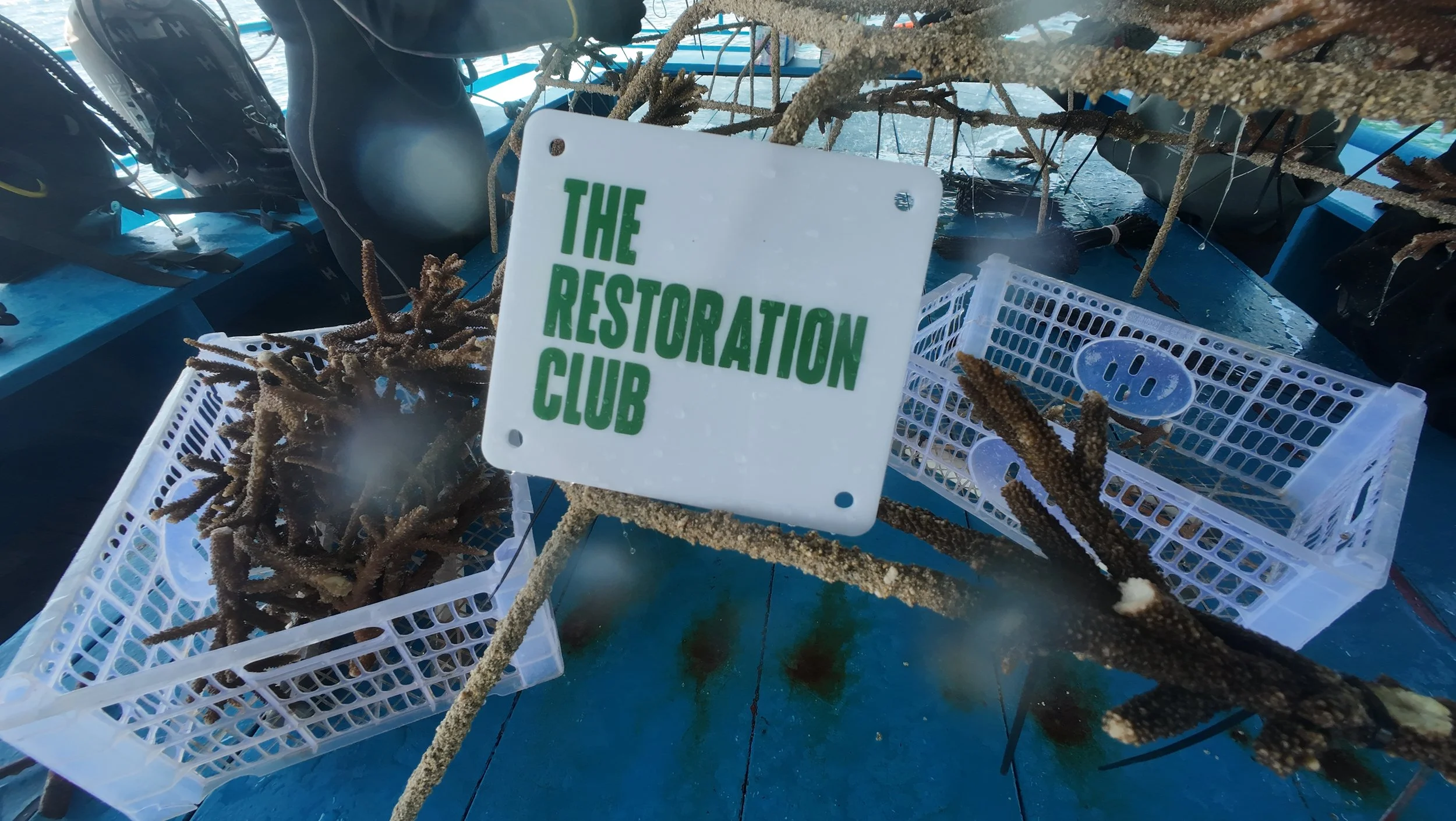 Reef restoration