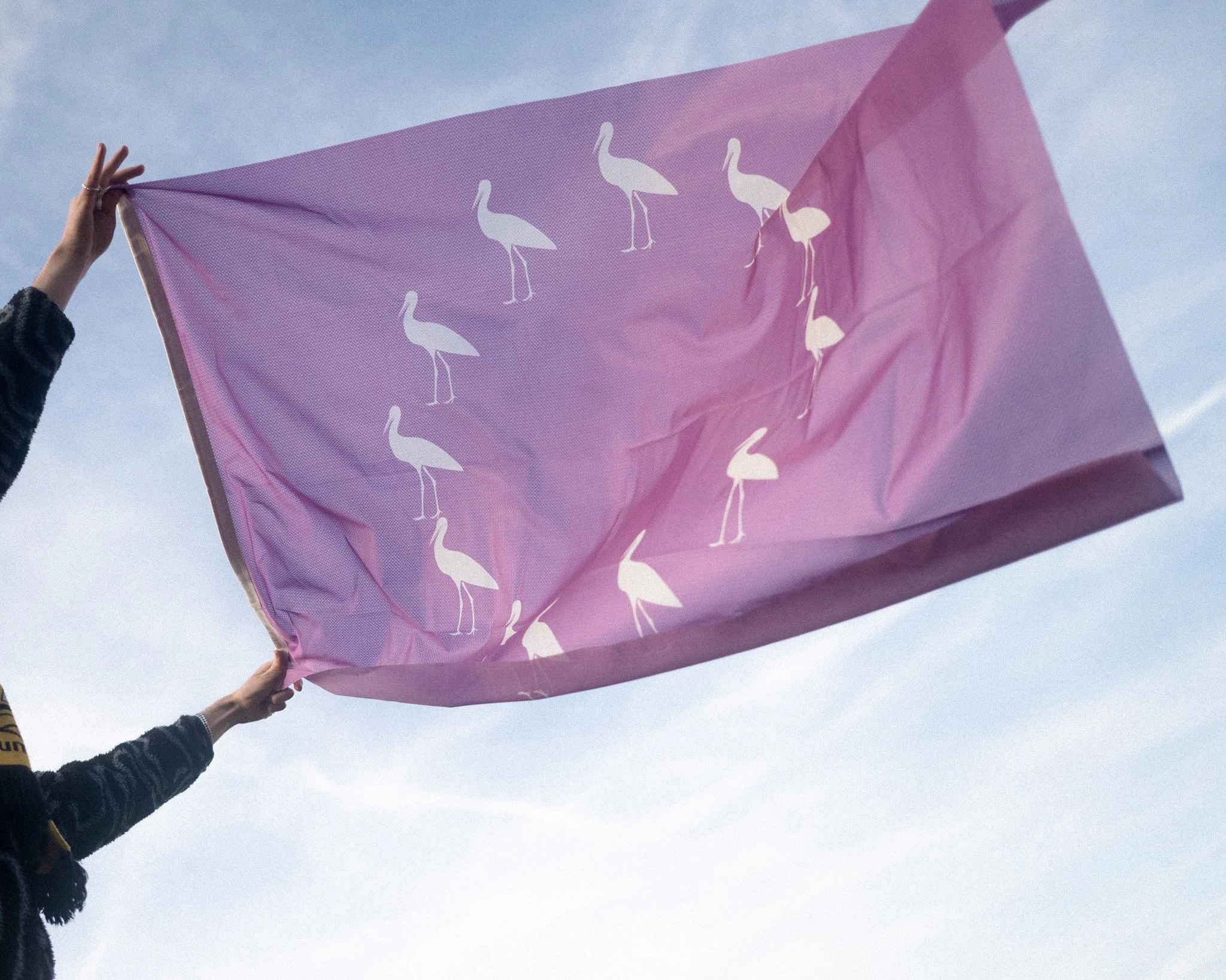 DH33 Flag