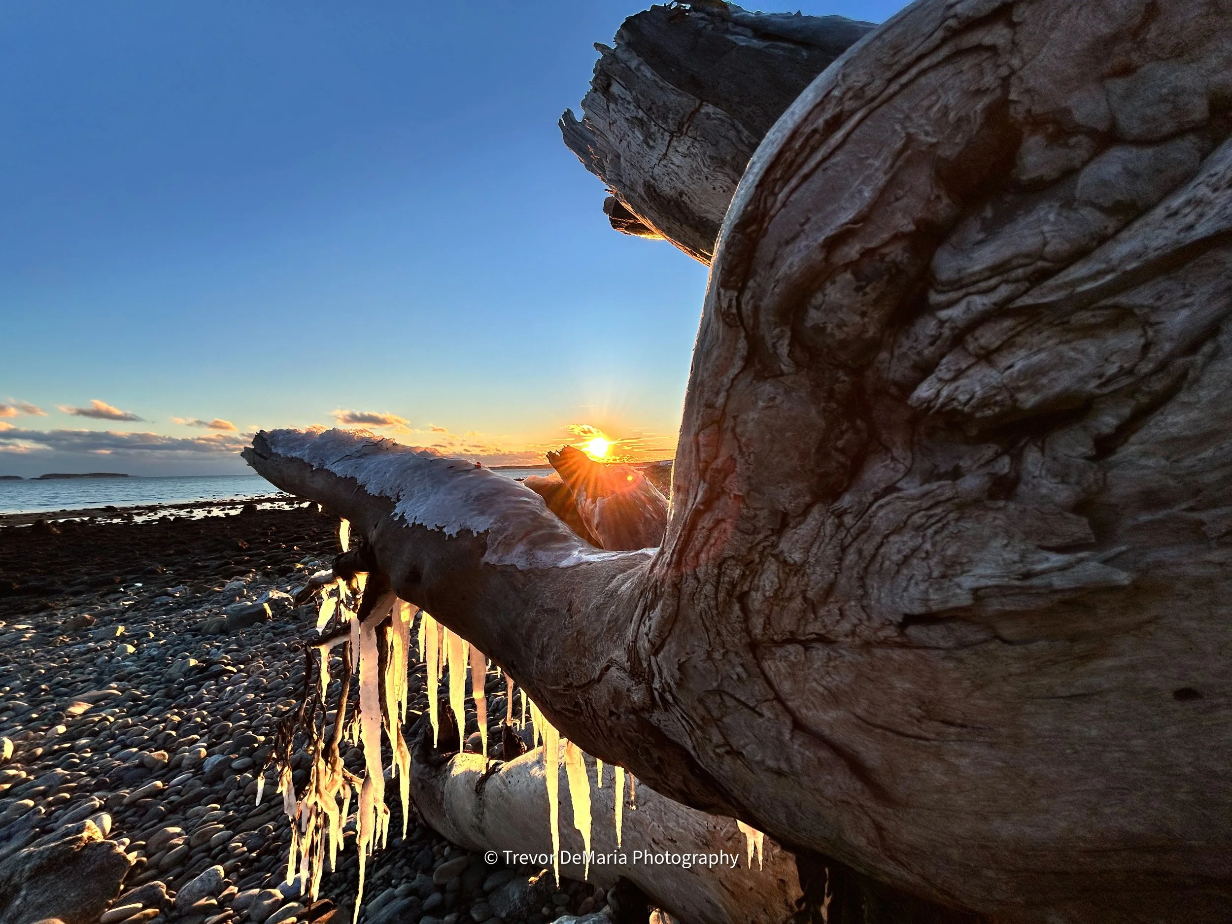 “One More Light”