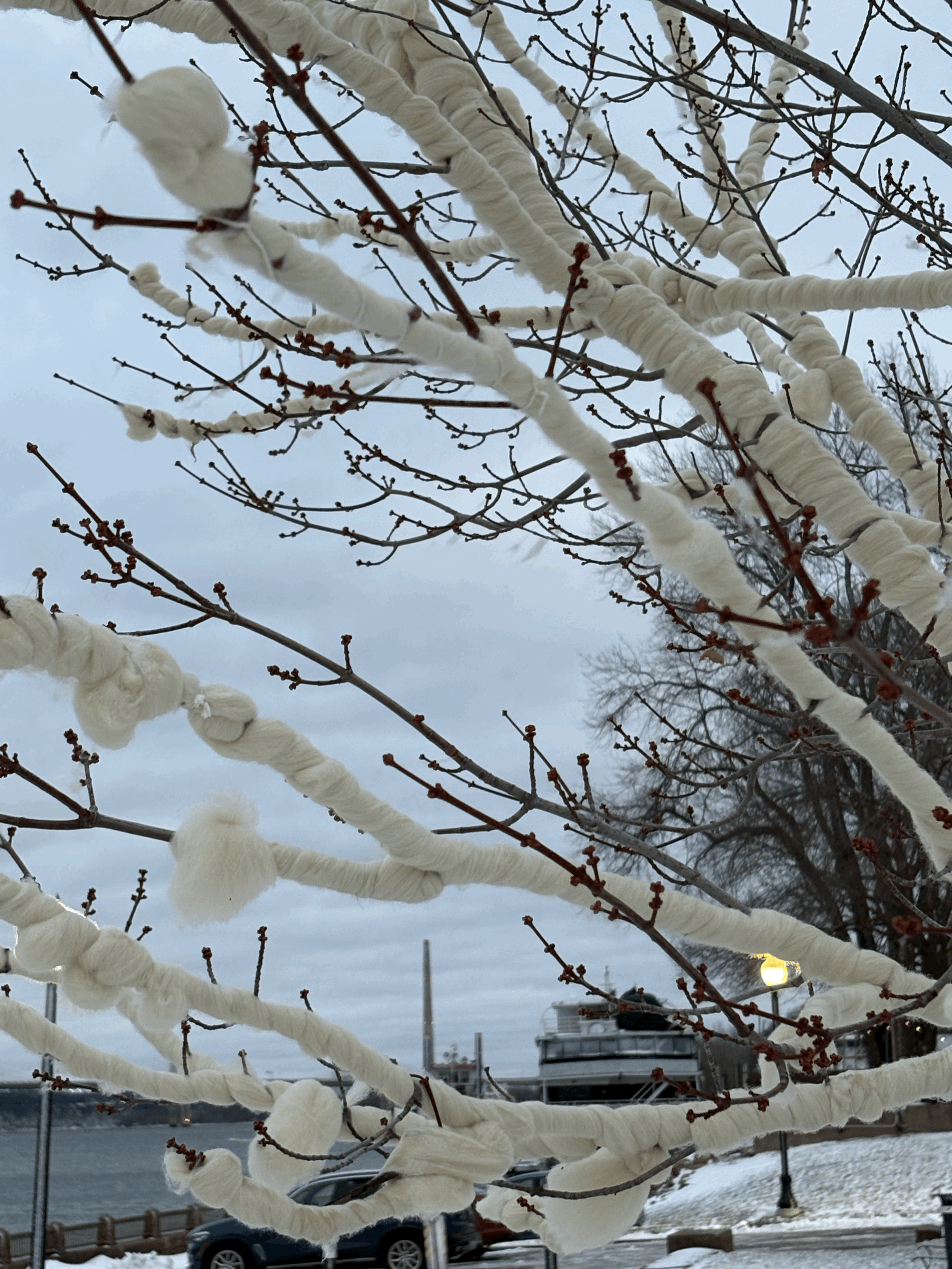 Wrapped in a Blanket: A Winter Gathering for the Heart 