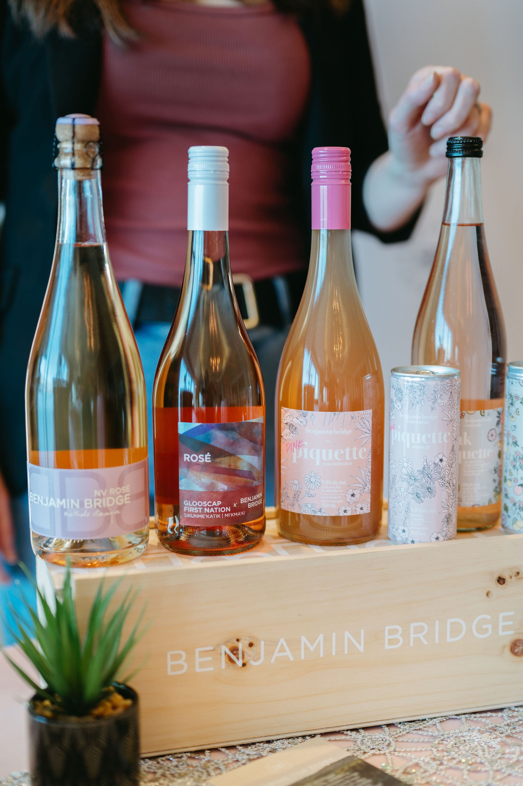 Bottles and cans of Benjamin Bridge wine and piquette displayed on a wooden box with a small plant beside them.