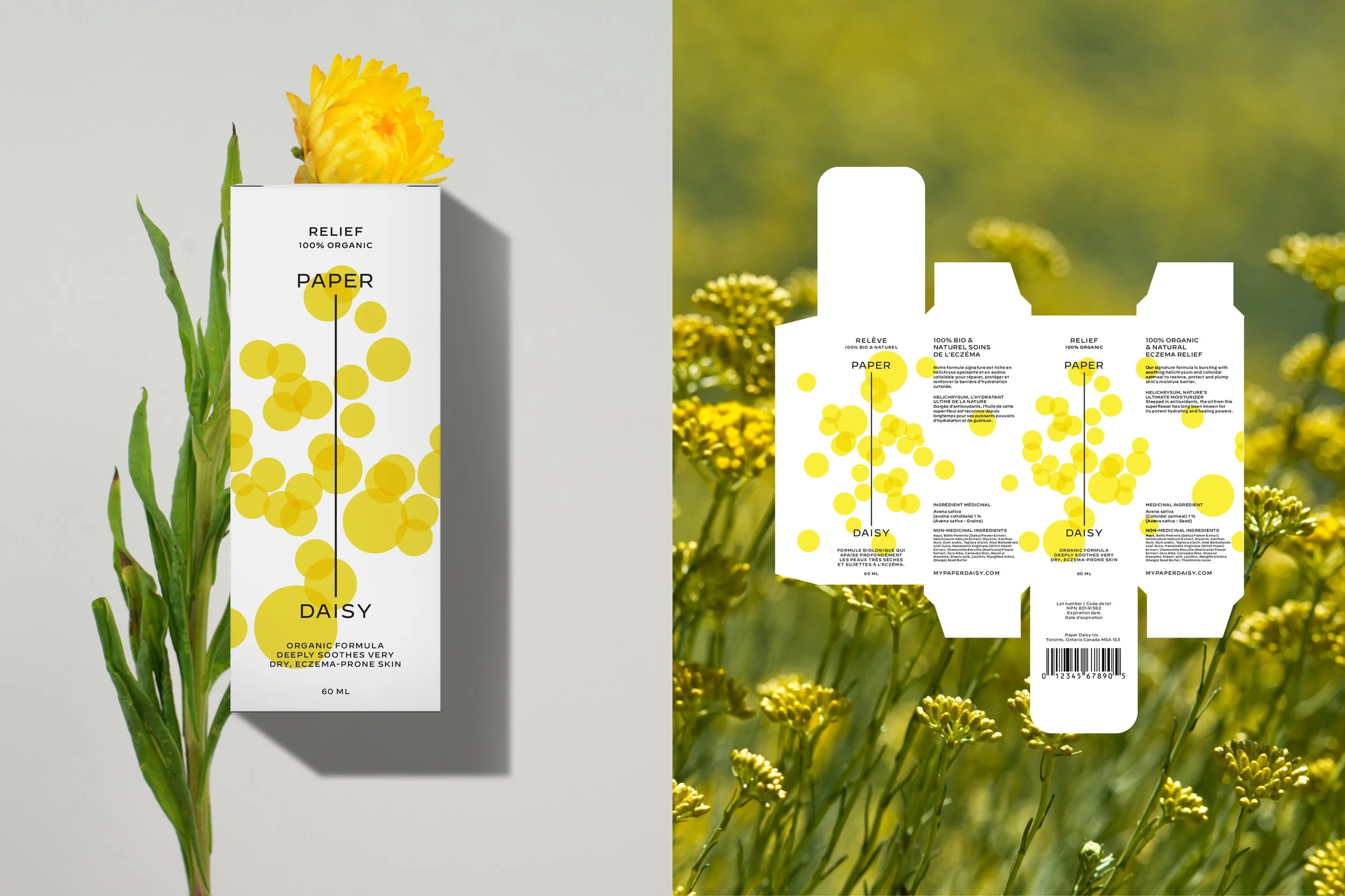 An image of the Cultural Center.