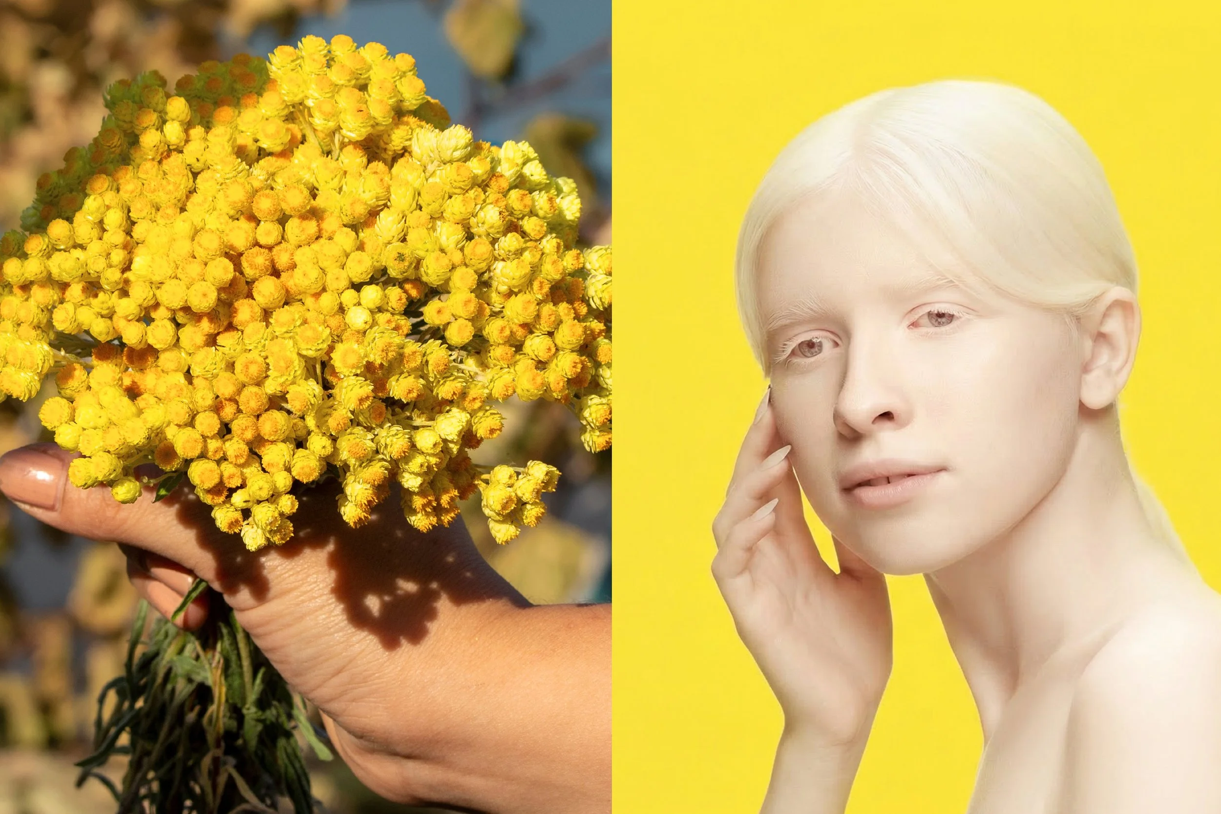 Six flyers with the word 'SPECTACLE' printed on them are laid out on a marble surface, with a white card nearby showing an address in Toronto, Ontario.