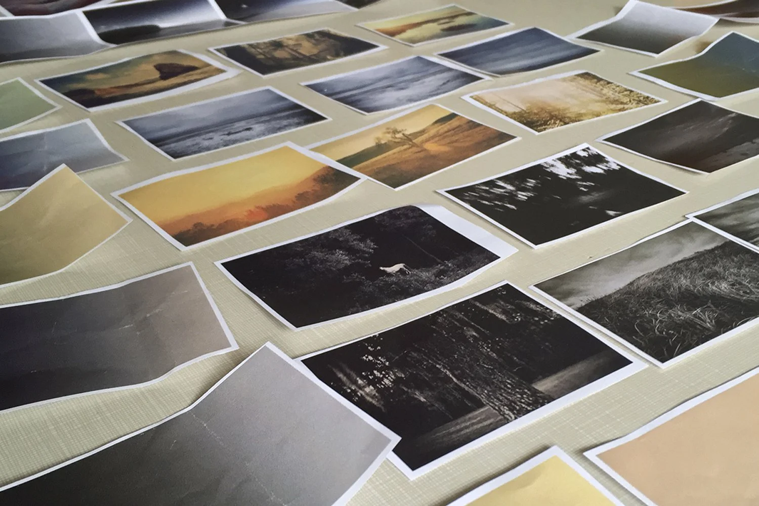 Collection of printed photographs laid out on a surface, featuring landscapes, nature scenes, and various outdoor settings.