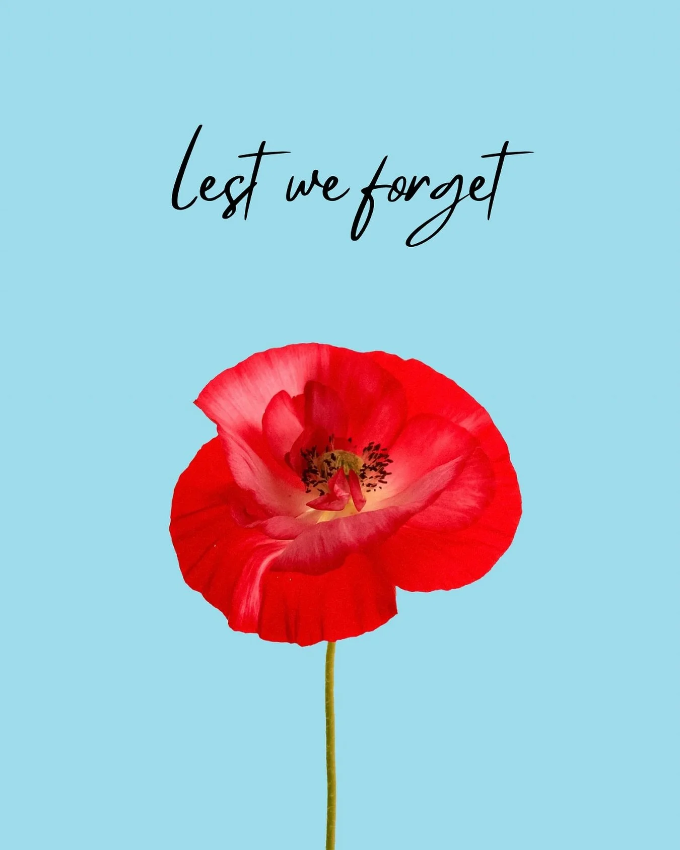 Today, we pause.
 To honour the brave souls who fought for the freedoms we live and breathe each day &mdash; and those who continue to serve, protect, and sacrifice so we can call this country home 🇨🇦

Their courage echoes through generations, and 